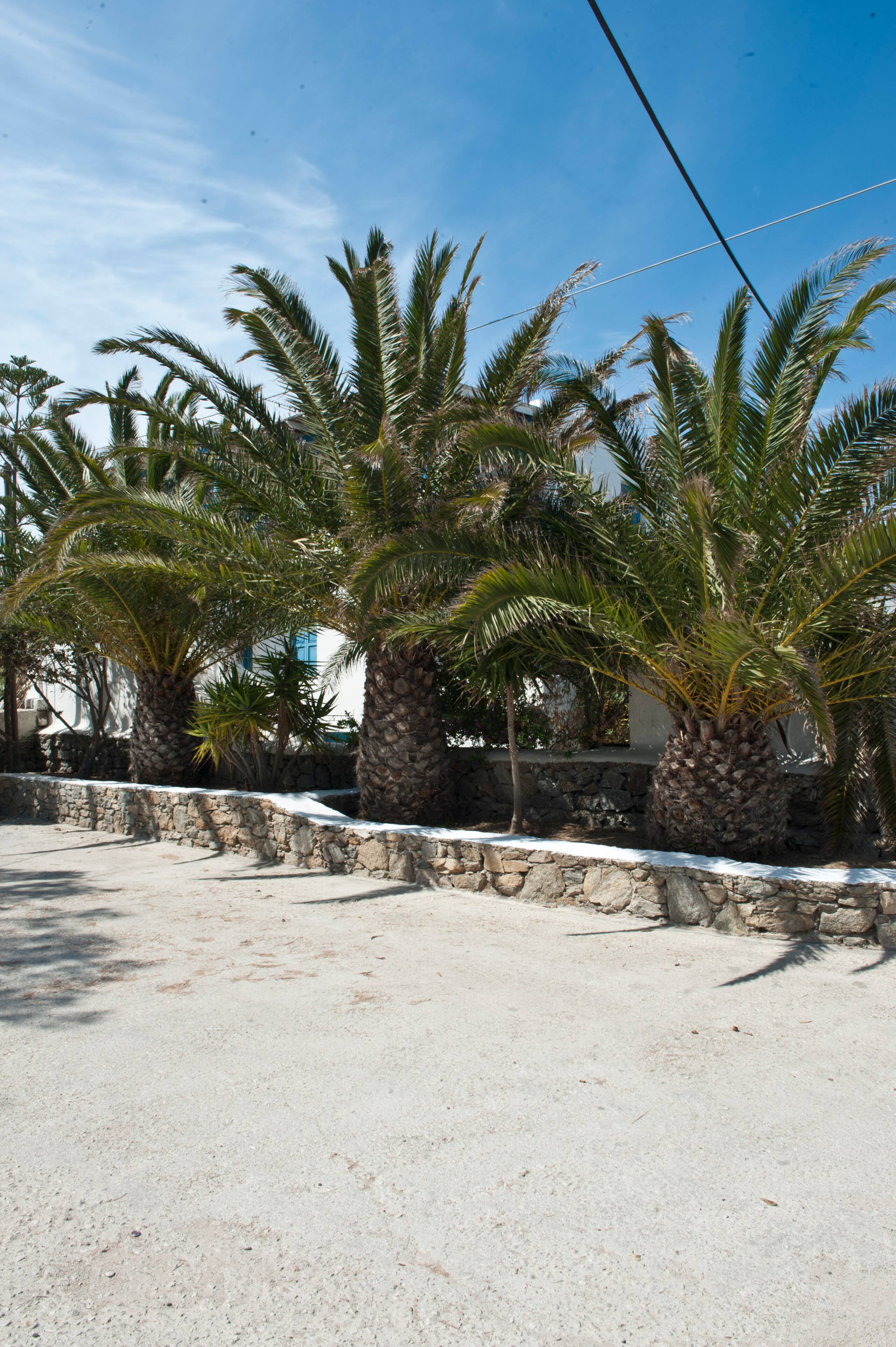 Filoxenia Apartments (40sqm, Ornos beach Mykonos) 10