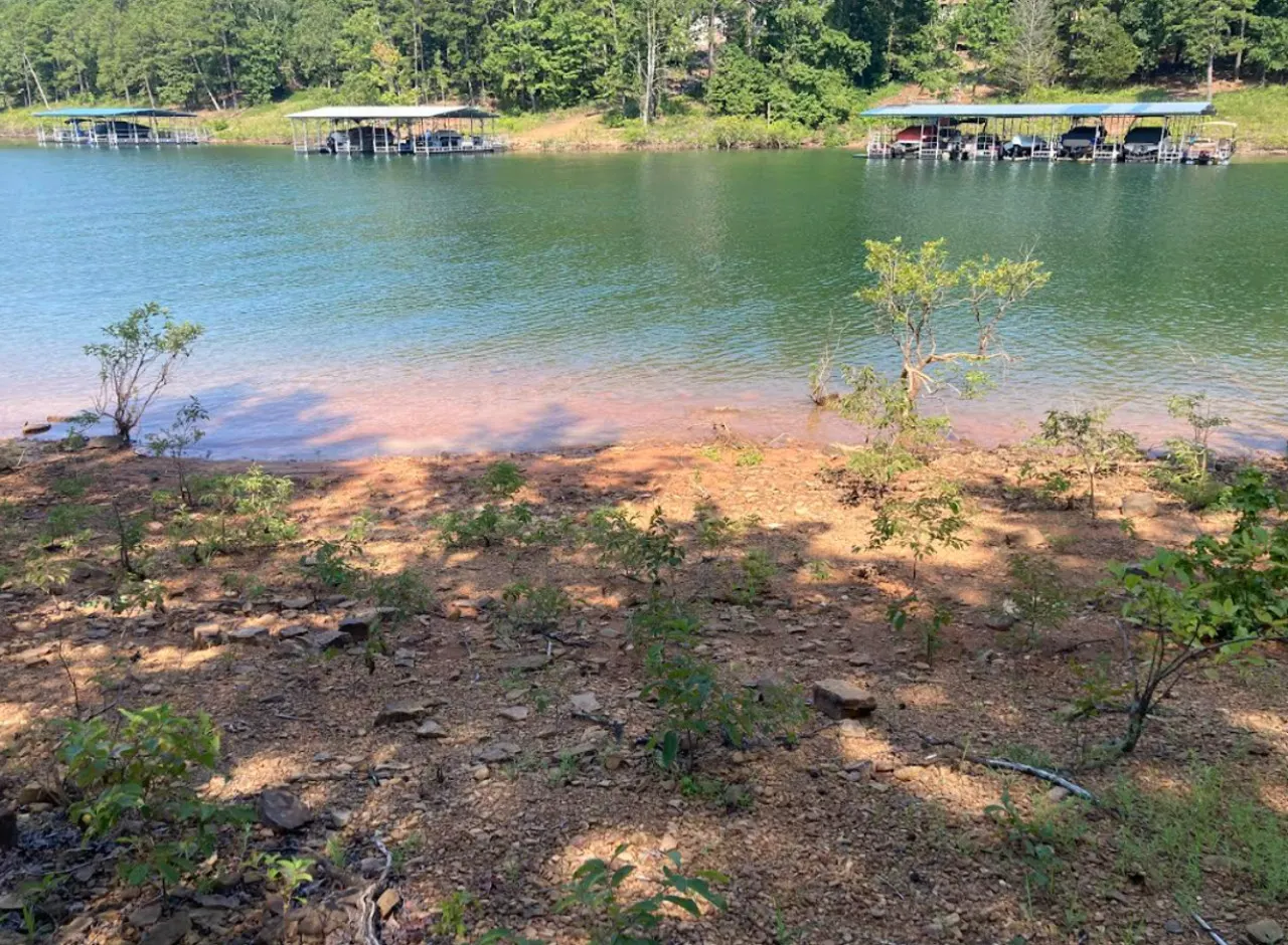 Aunt Pattie's Lake House — photo 4
