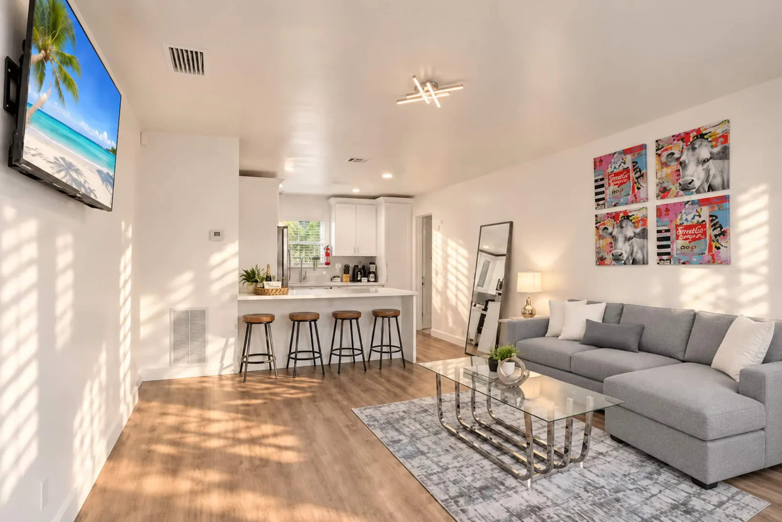 Beach Downtown Pets Dining + Fun Yard +BBQ 510 9