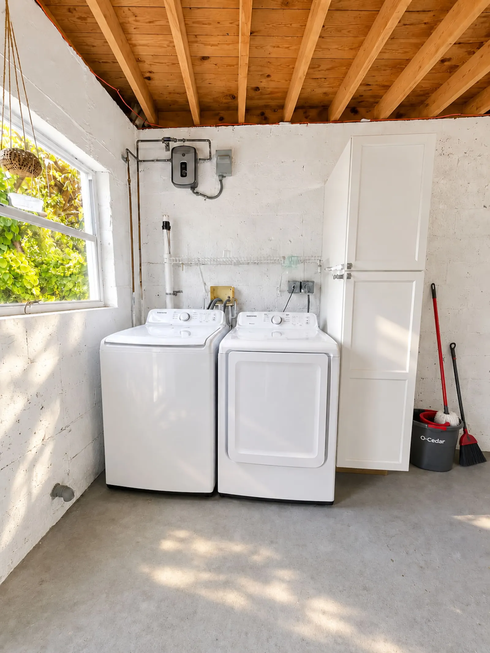 Beach Downtown Pets Dining + Fun Yard +BBQ 510 16
