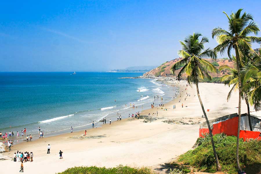 Colva's Green Paradise: Elegant 1BHK Escape 8