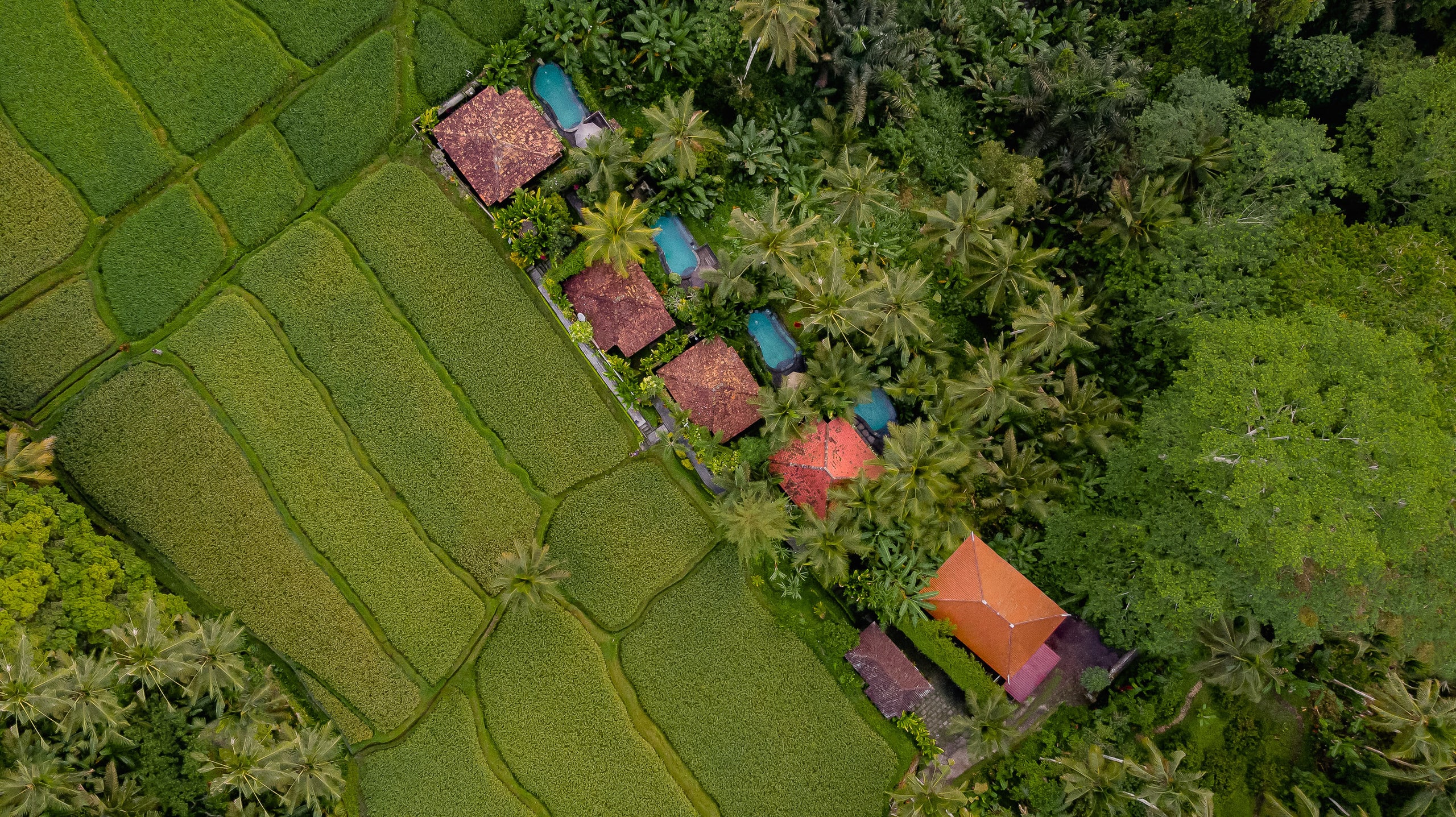 Mandana Ubud Villa — photo 2