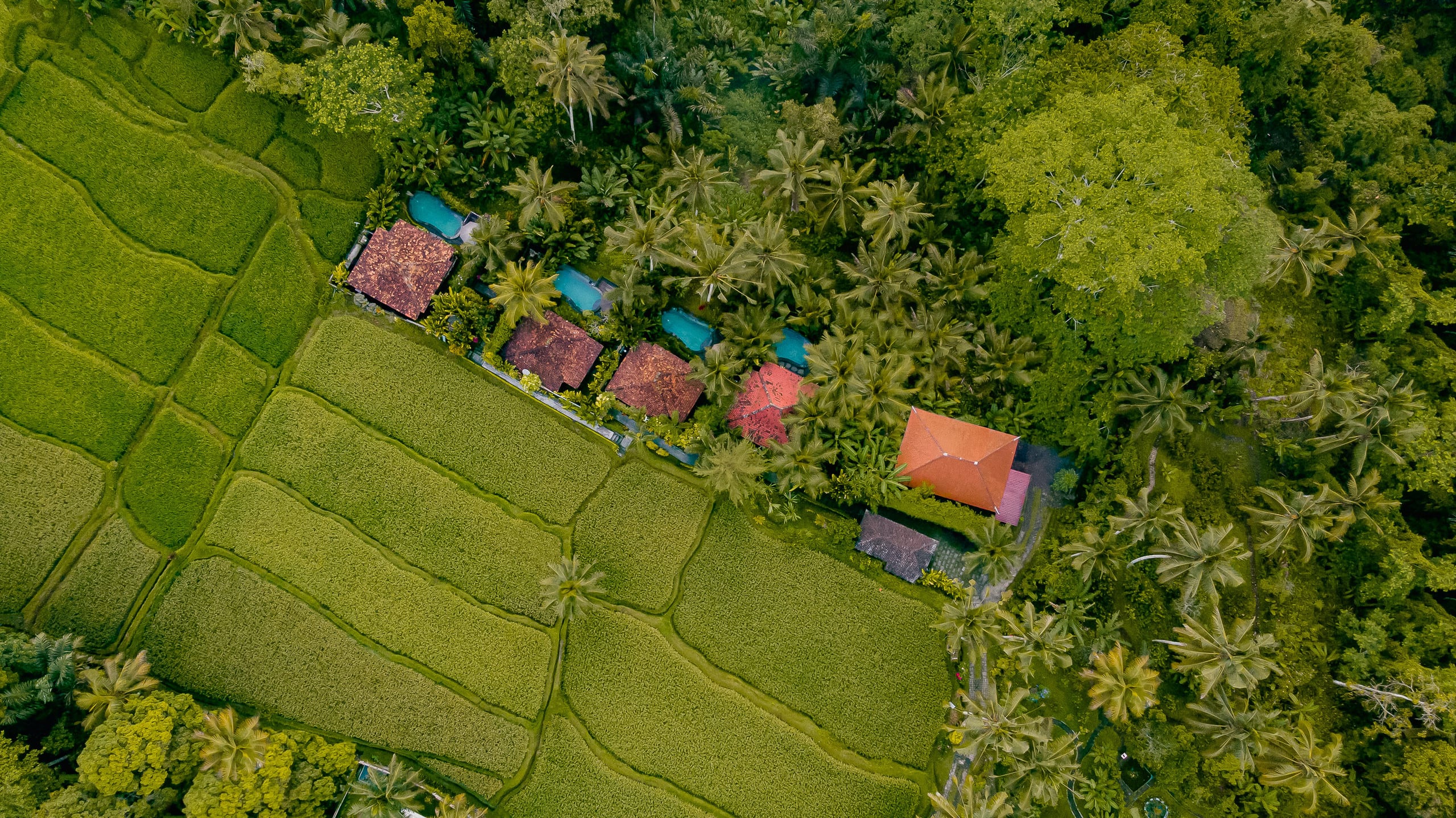 Mandana Ubud Villa 24