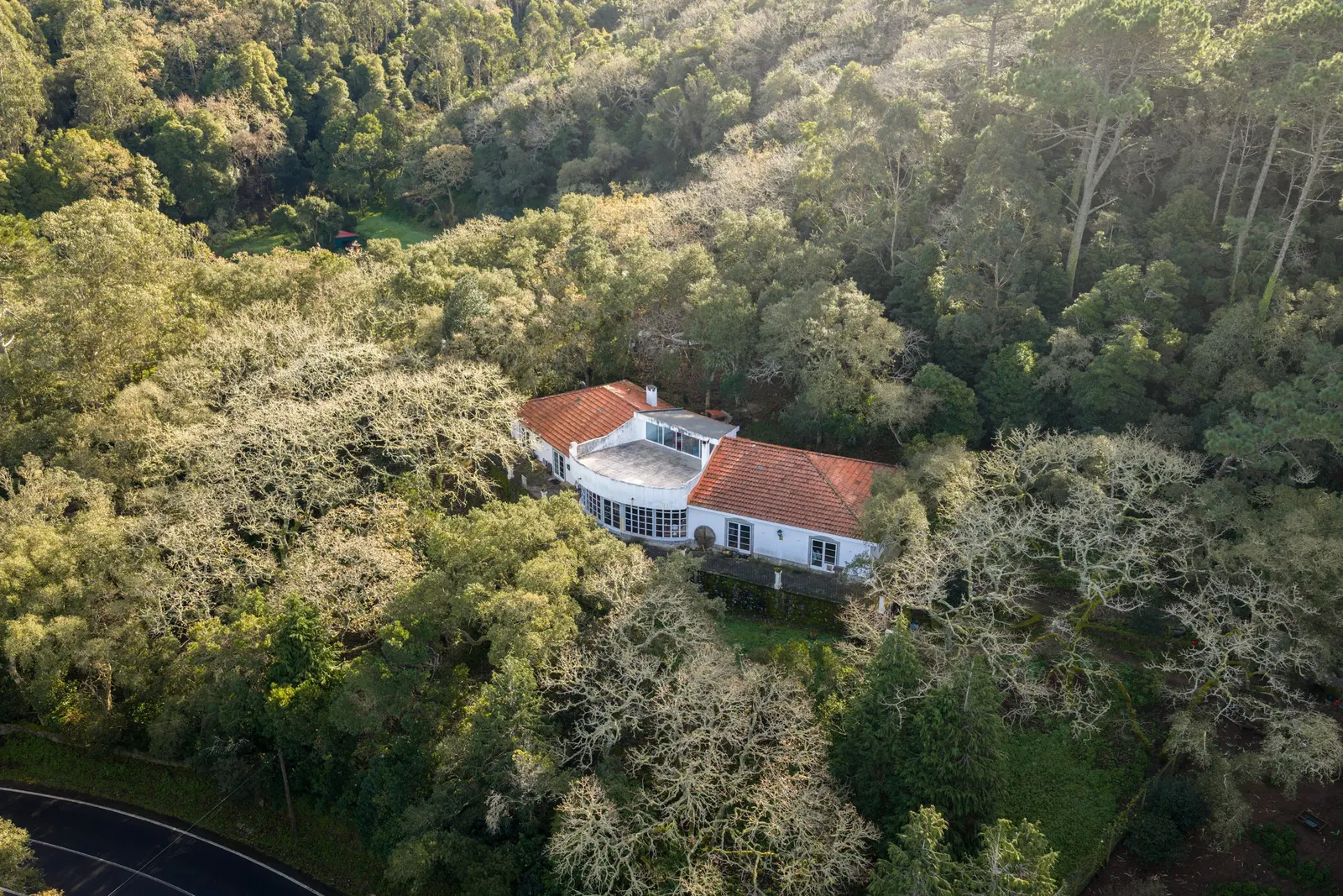 Biological farm, with a view, in the Serra de Sintra 4