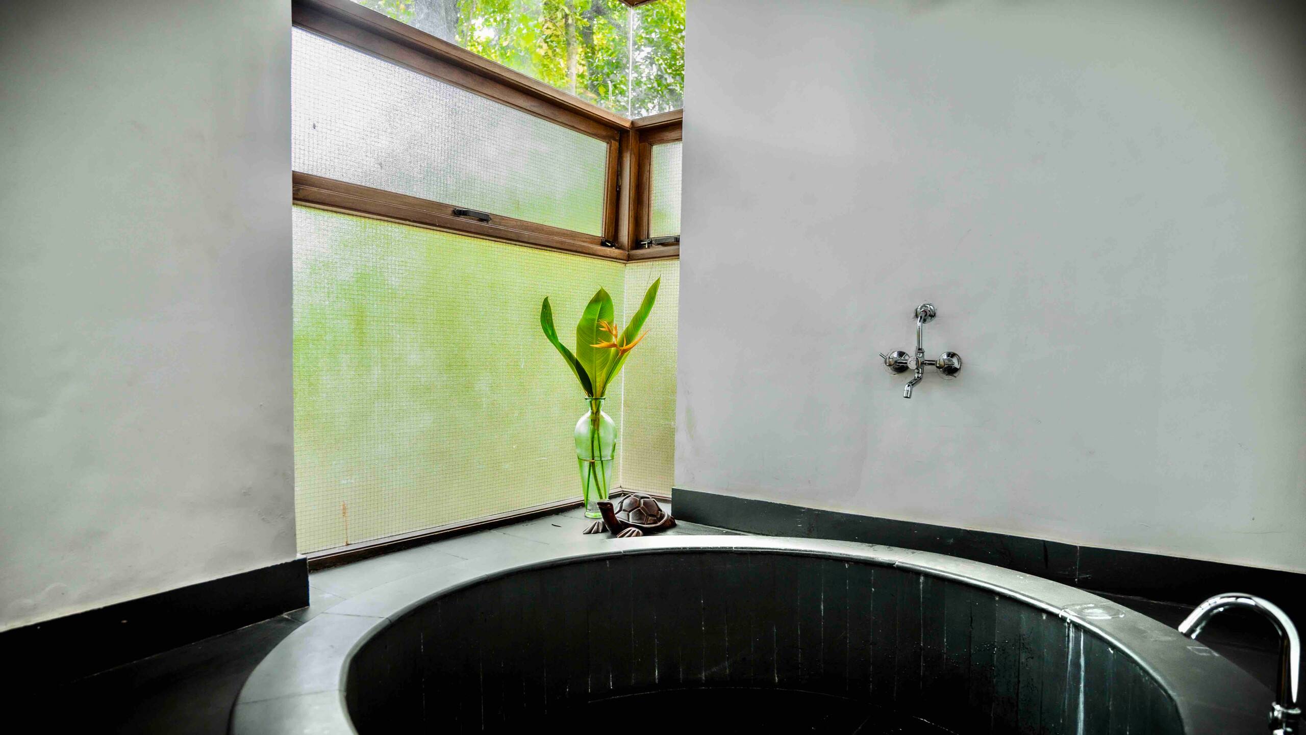 Birdsong, Moira | Tranquil Magical Homestay 28