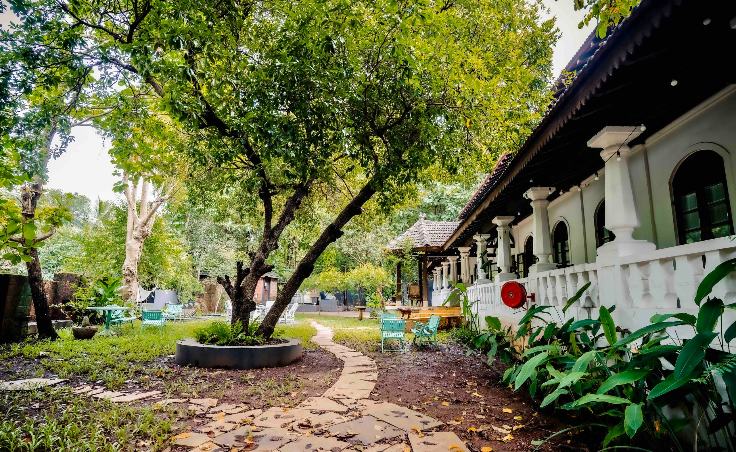 Birdsong, Moira | Tranquil Magical Homestay 17