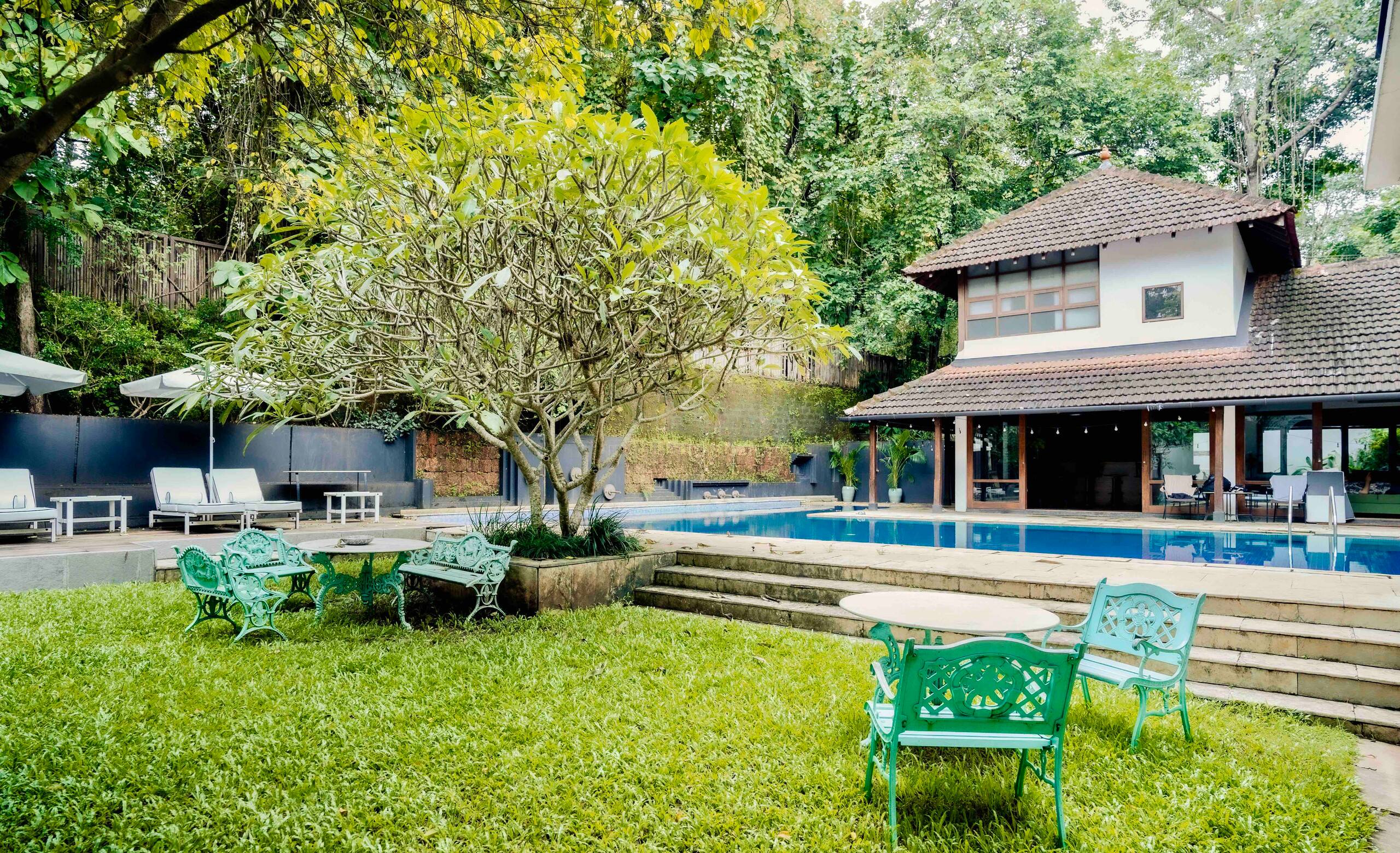 Birdsong, Moira | Tranquil Magical Homestay — photo 5