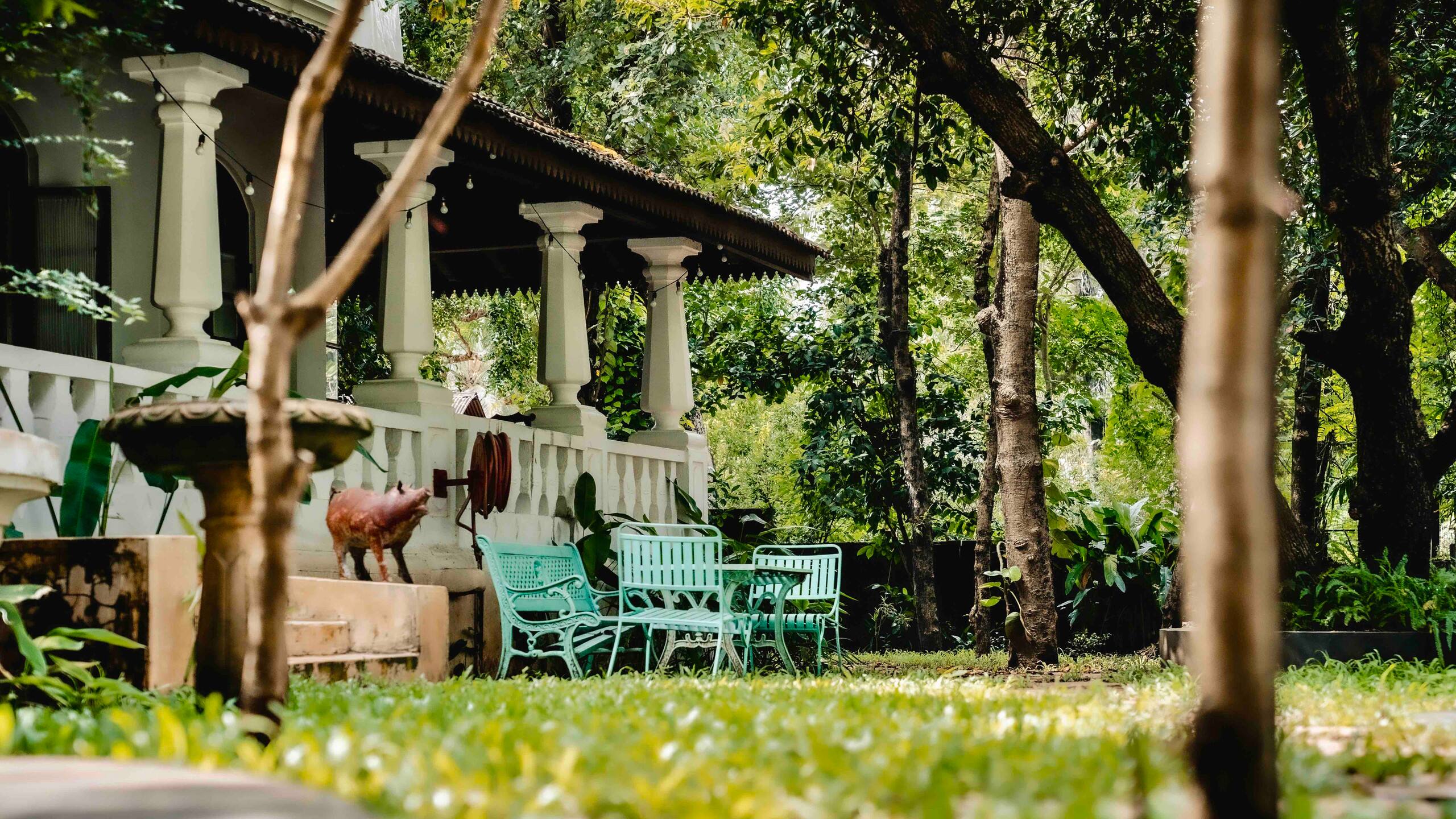 Birdsong, Moira | Tranquil Magical Homestay 16