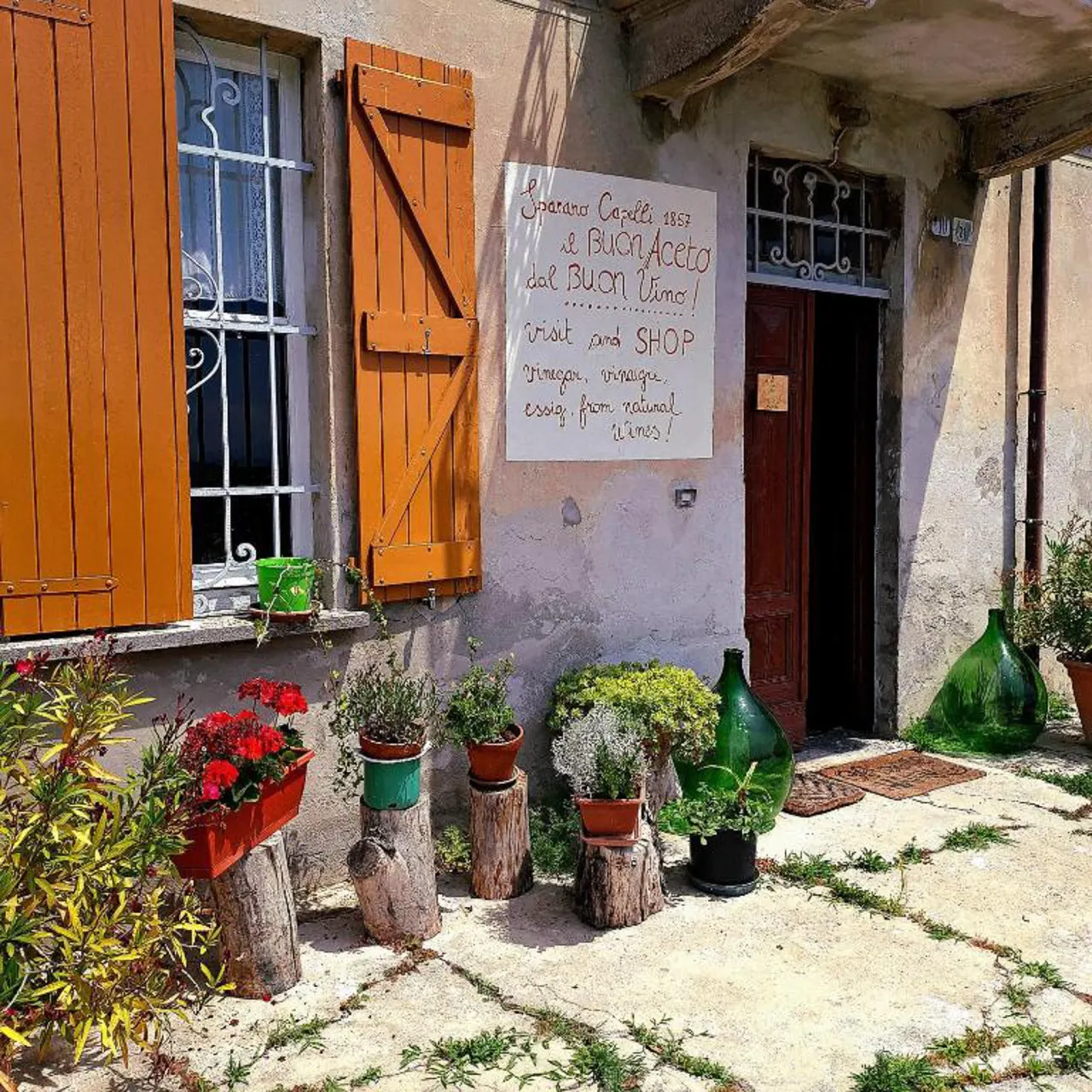 Casa Vacanze PetFriendly tra i Vigneti — photo 2
