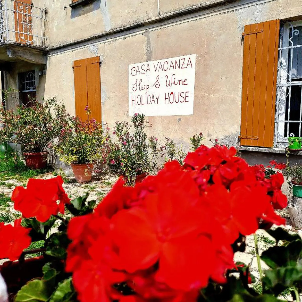 Casa Vacanze PetFriendly tra i Vigneti 9