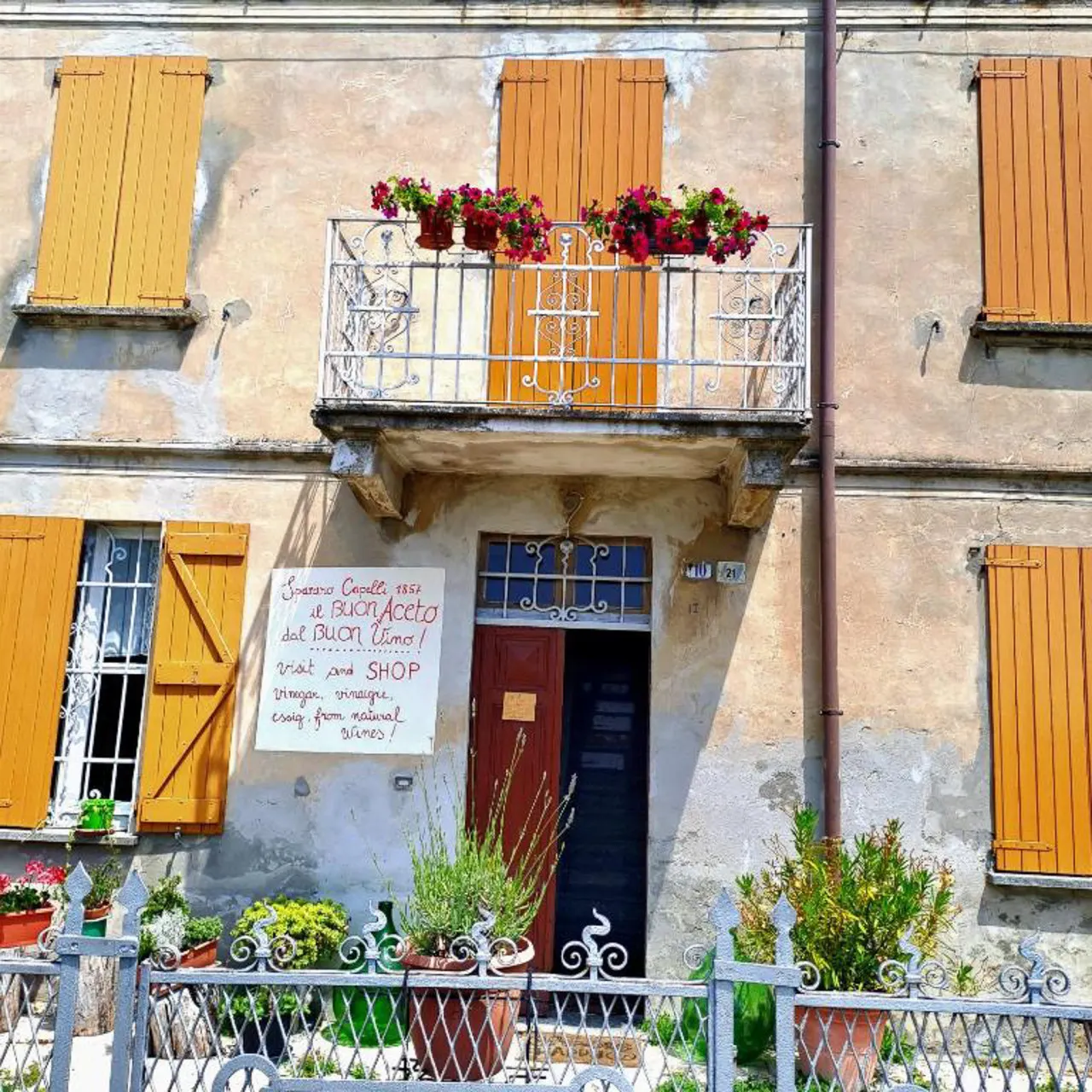 Casa Vacanze PetFriendly tra i Vigneti 12