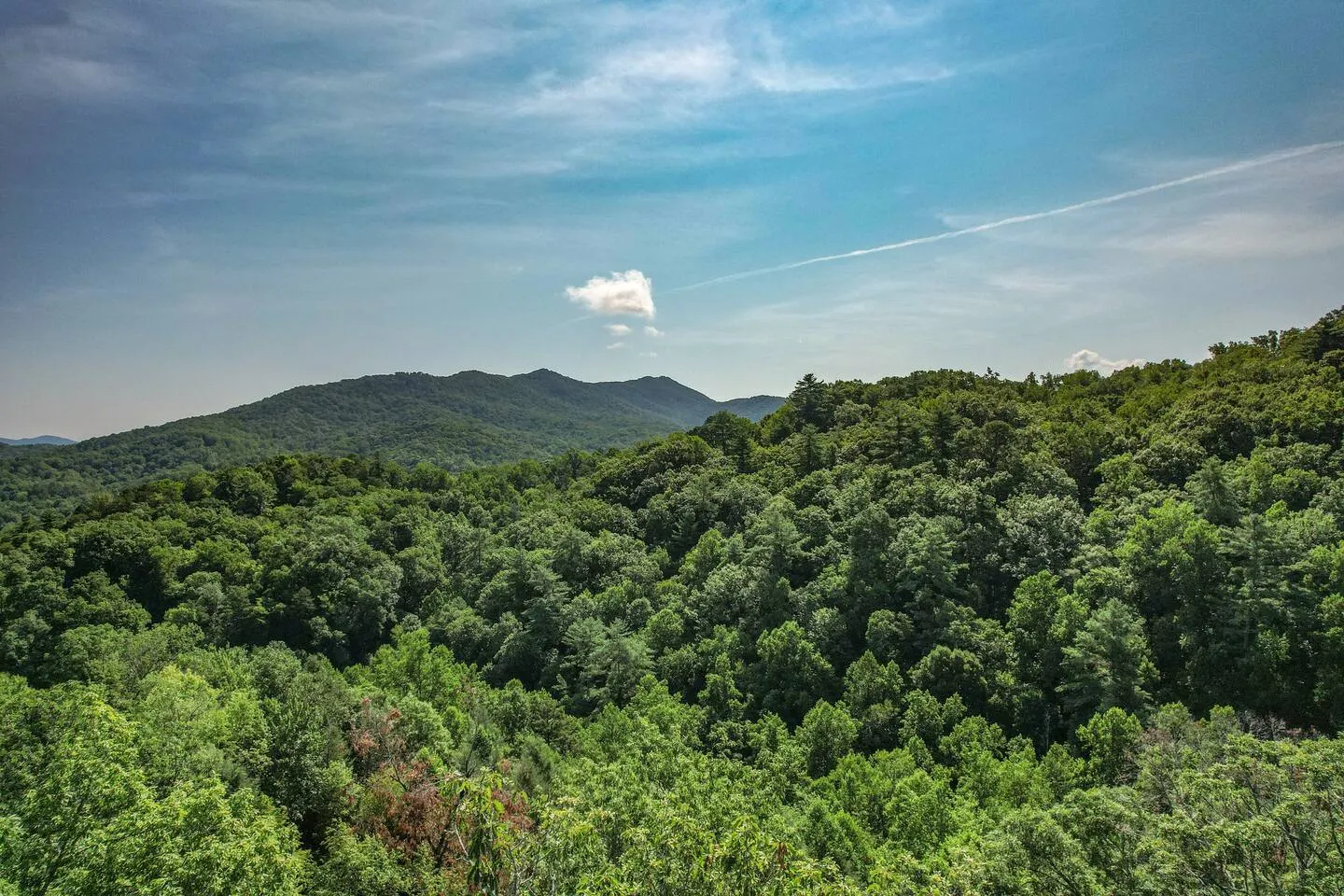 “Mountain Iris” Views! Hot Tub/Games/Dog-Friendly 15