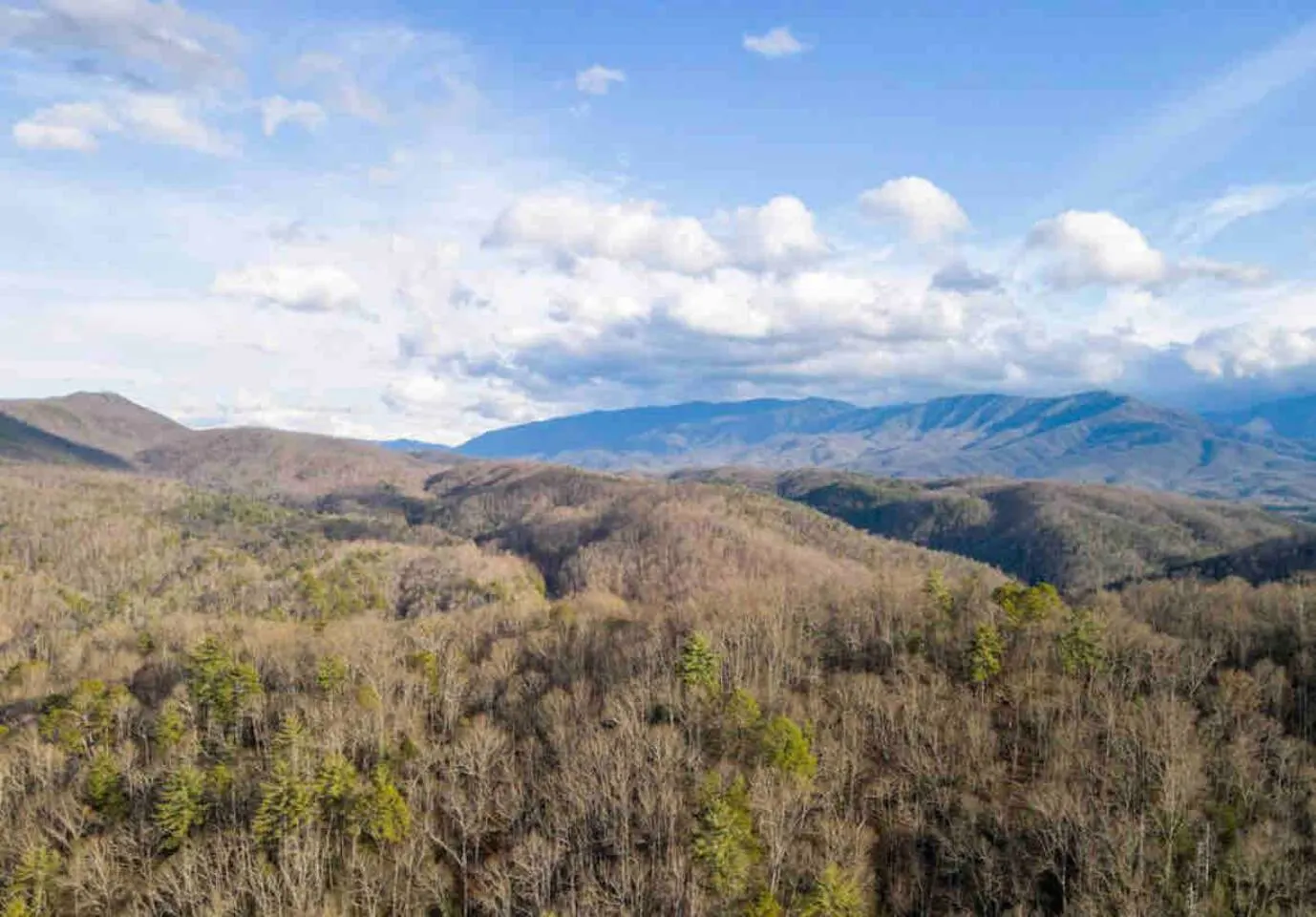 “Mountain Iris” Views! Hot Tub/Games/Dog-Friendly 4