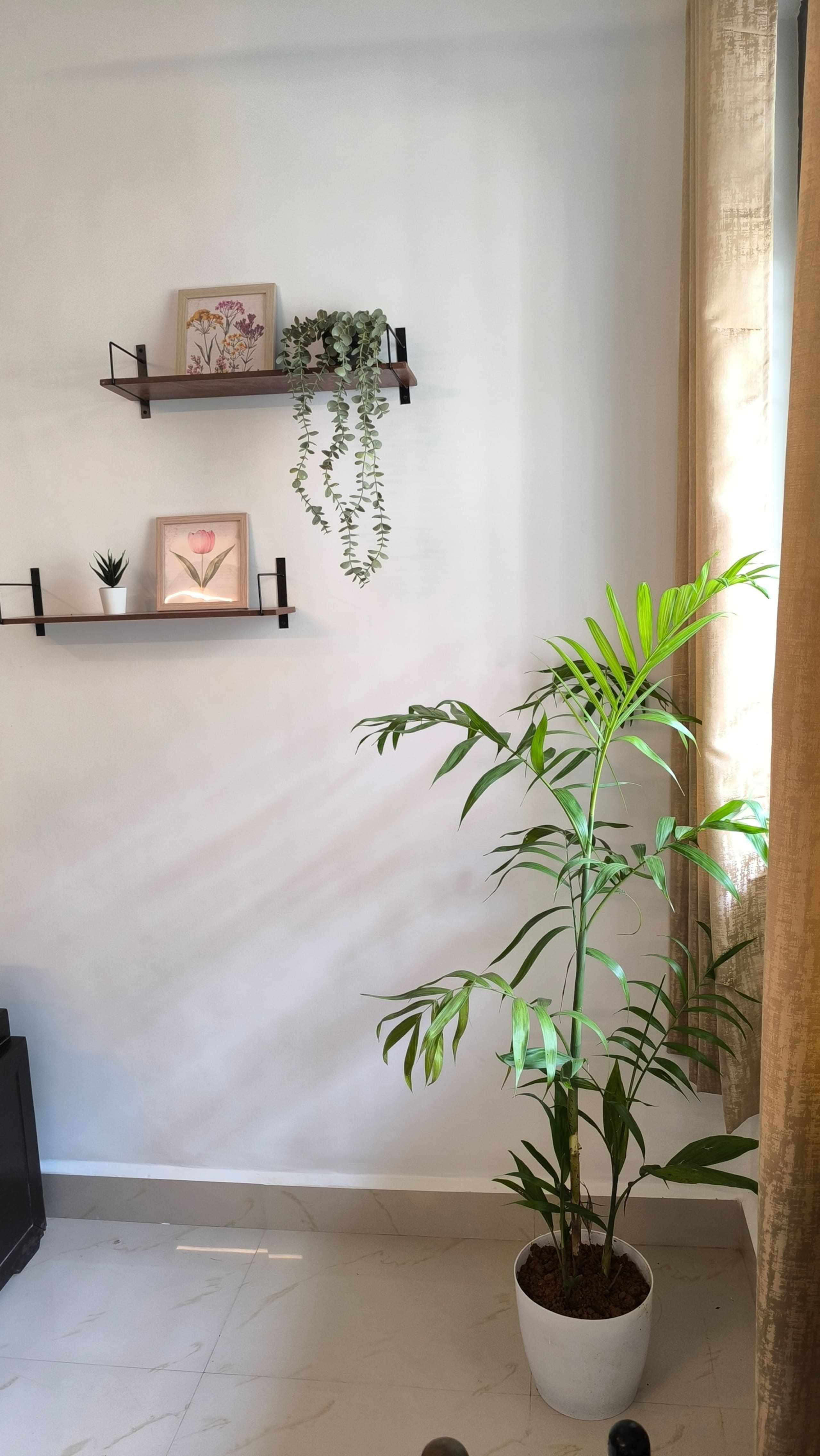 Bloom Casa Candolim - Serene Beachside 1bhk 8