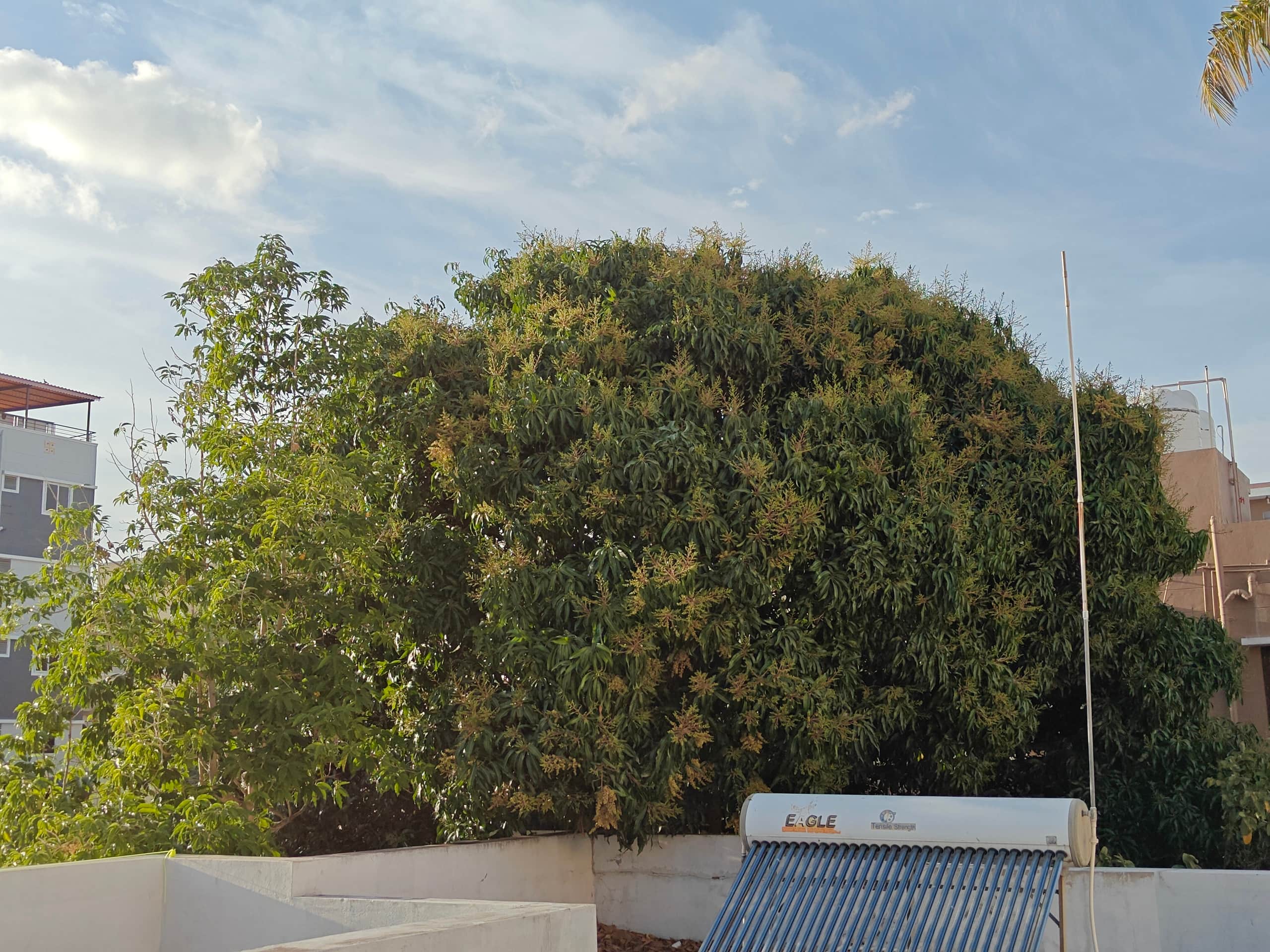 Roopa Studio – Cozy Stay with Open Terrace 18