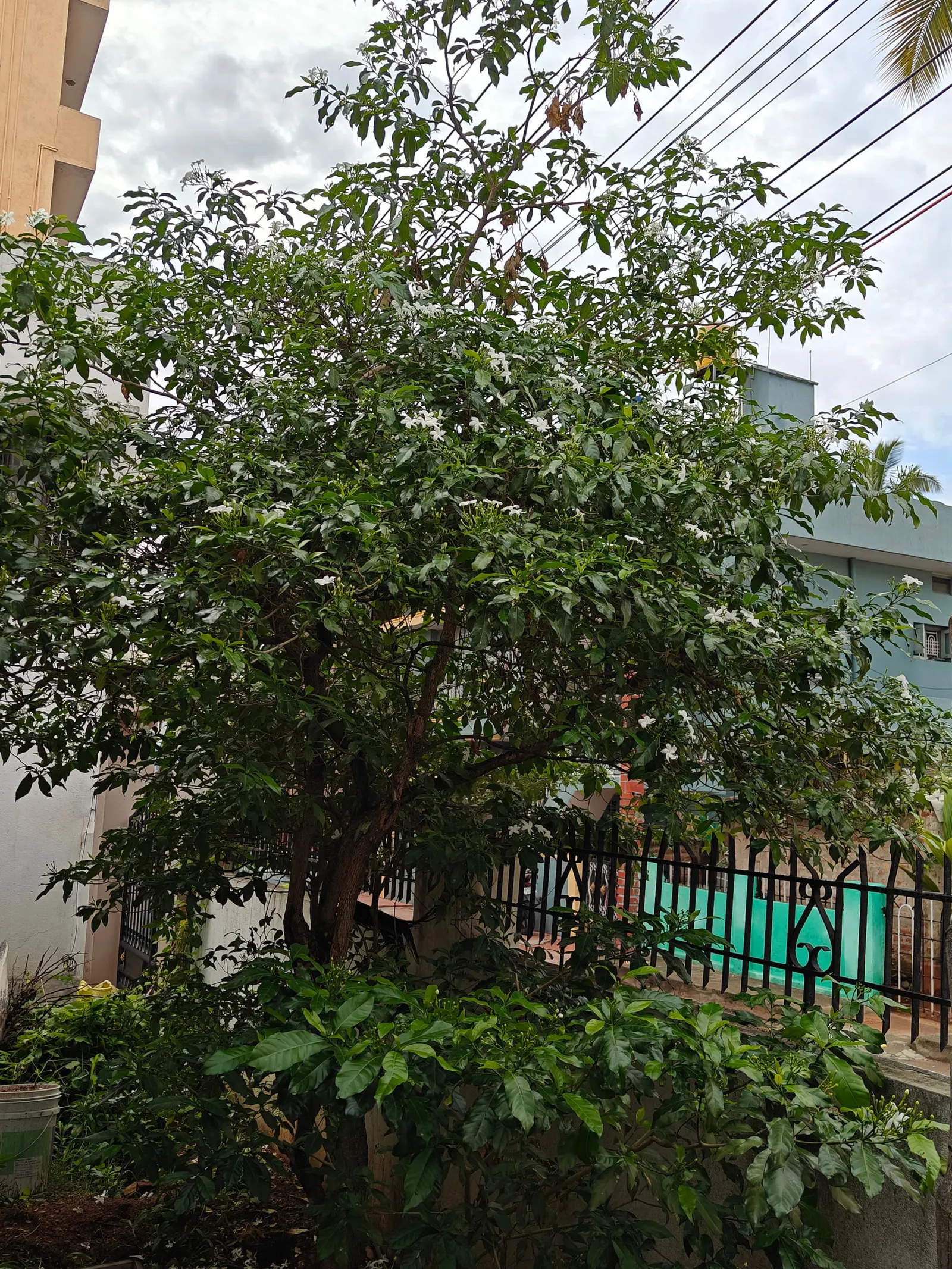 Roopa Studio – Cozy Stay with Open Terrace 30