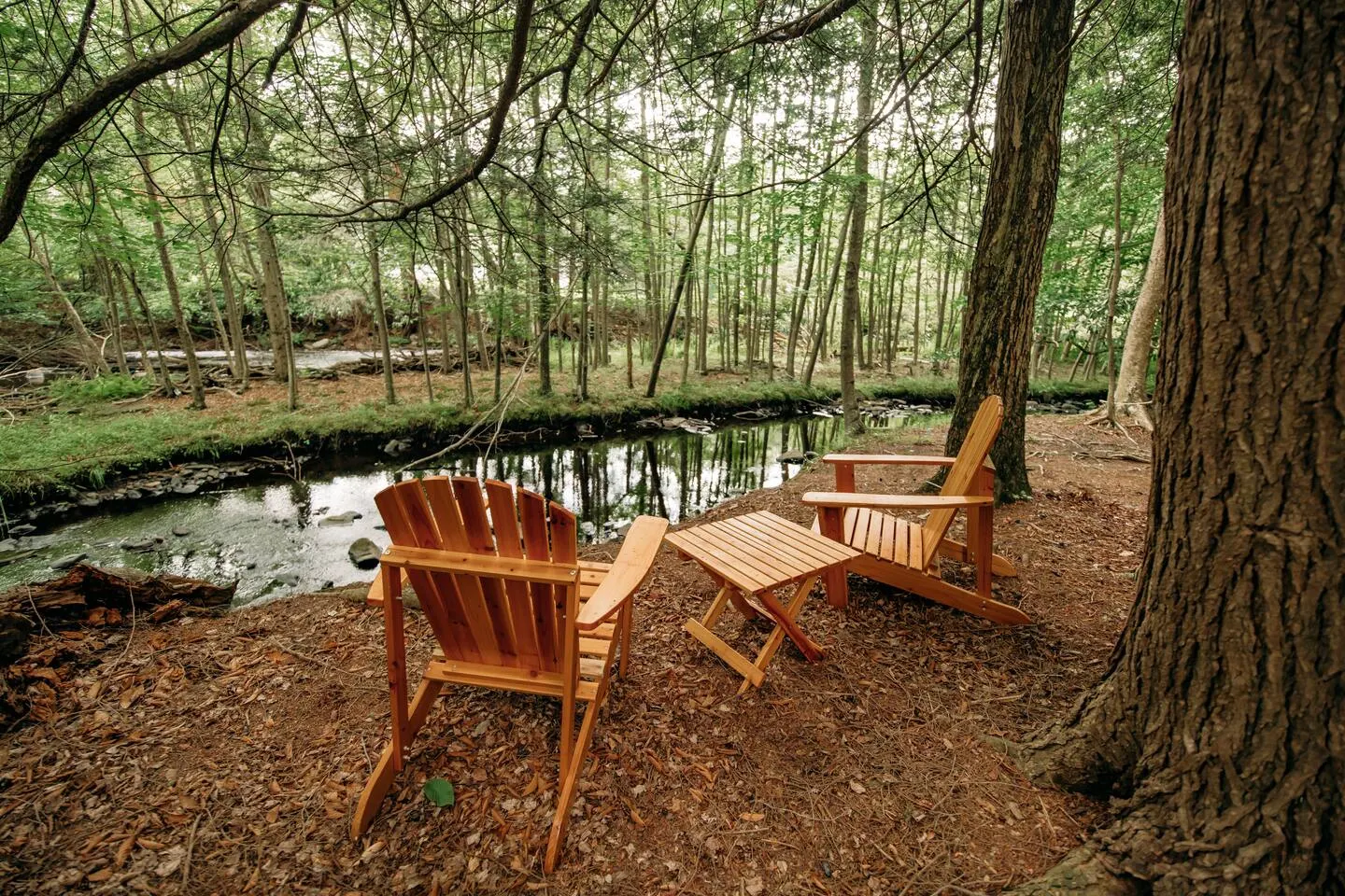Riverfront FirePit! HotTub-Pool-Beaches-Gameroom 17