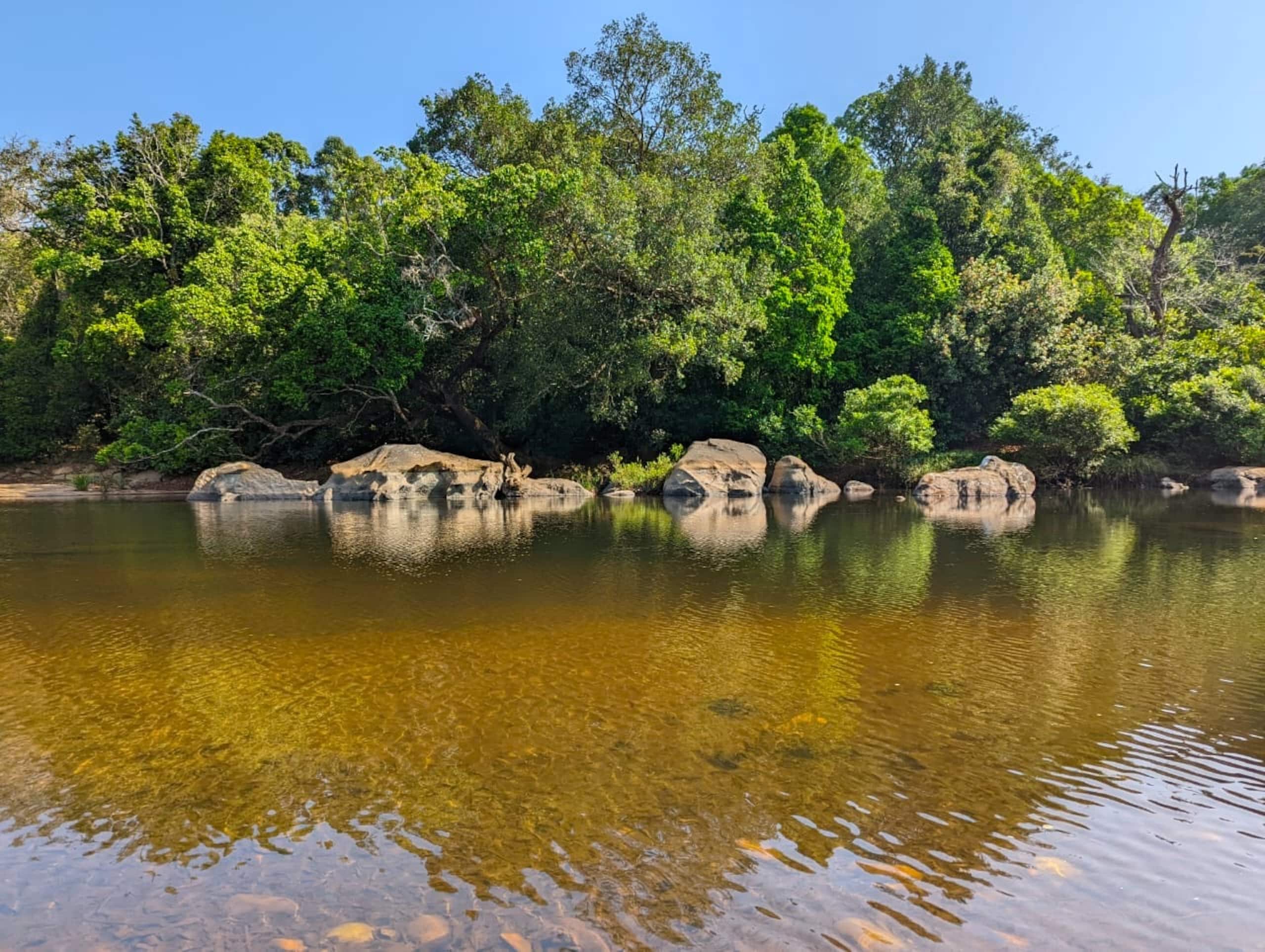 Monappa Estate: Where Peace never ends! 25