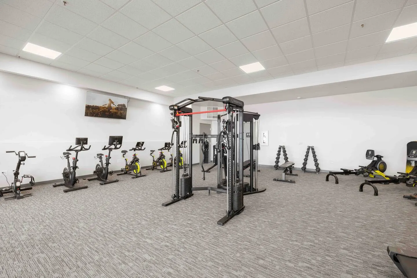 True Badger Honey Haven+Laundry+24/7Gym 20