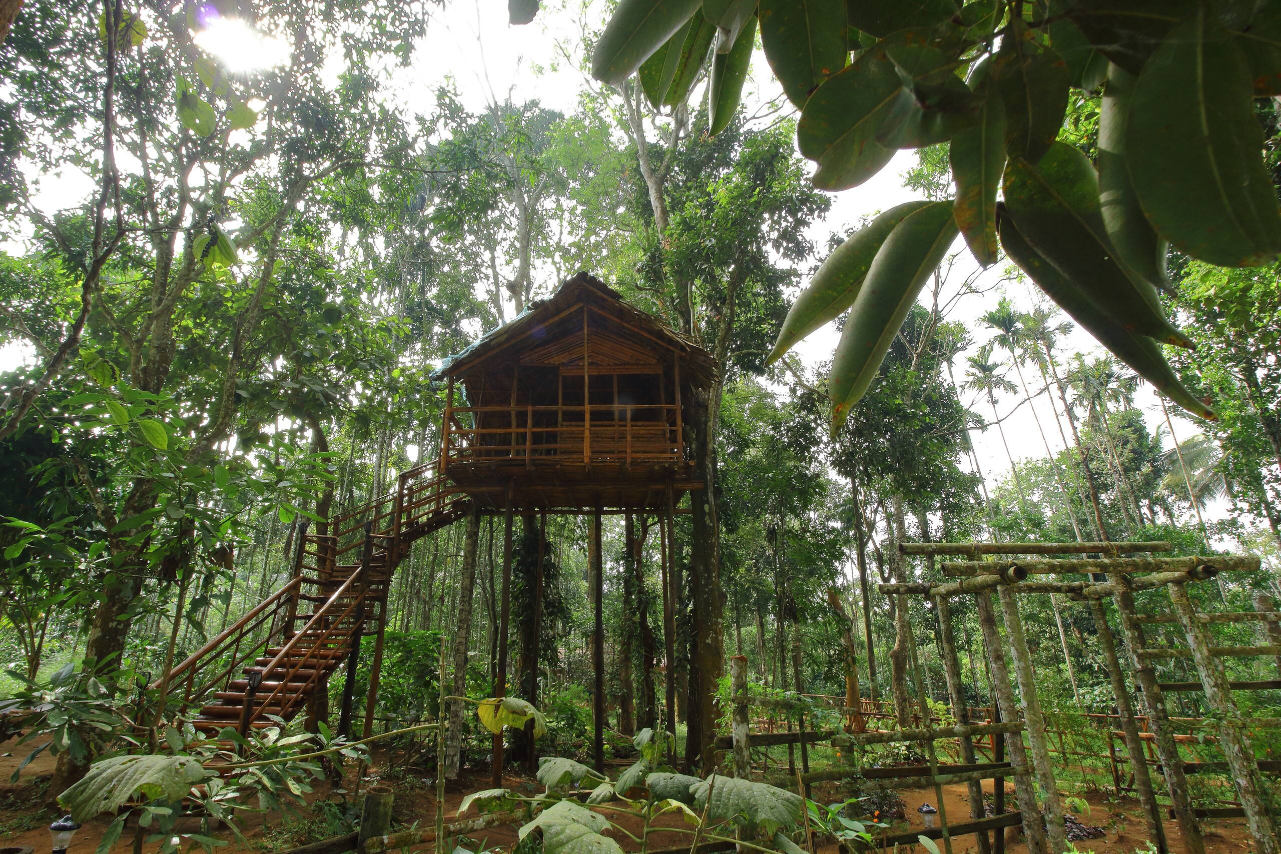 TreeSong Villa 9