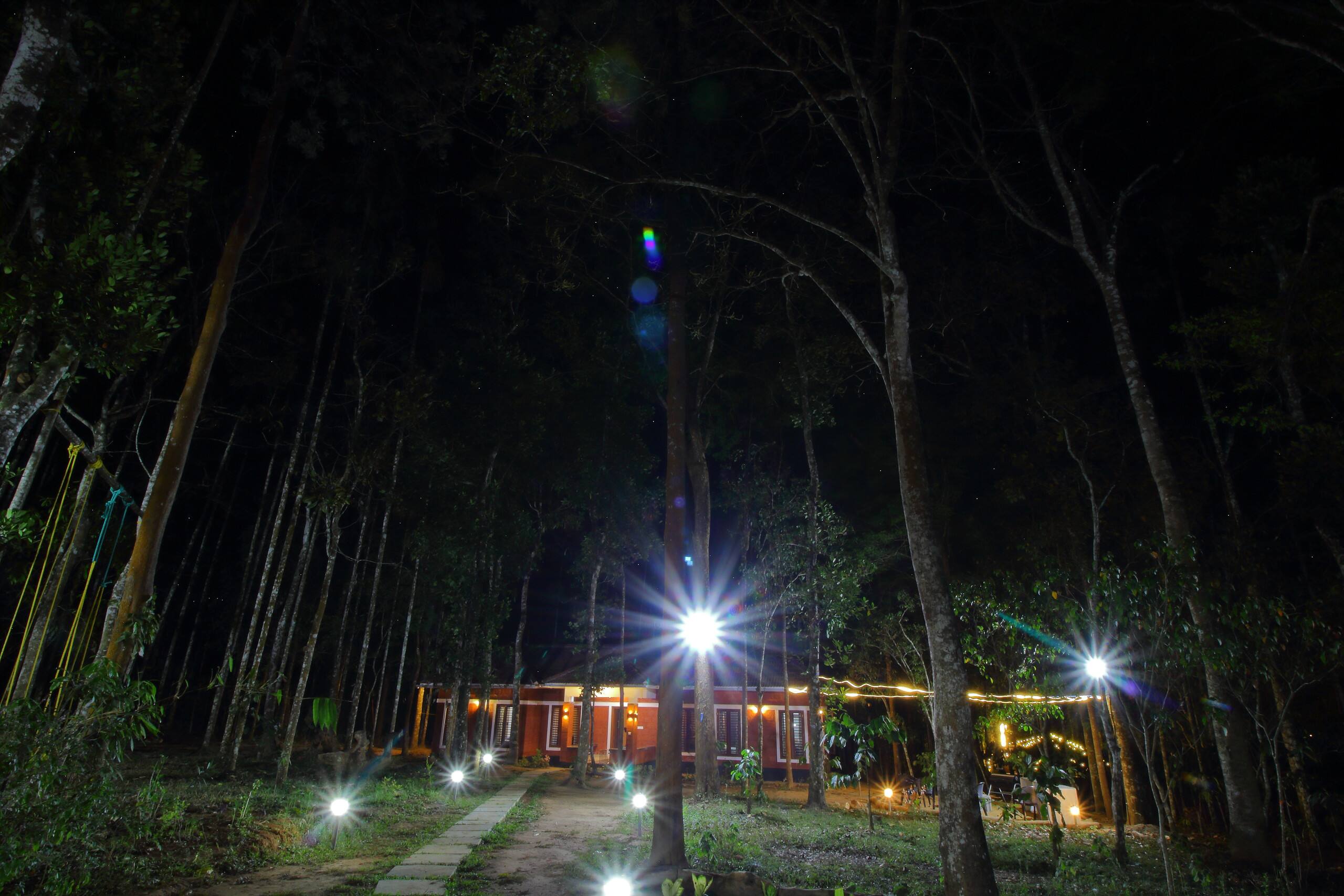 TreeSong Villa 8