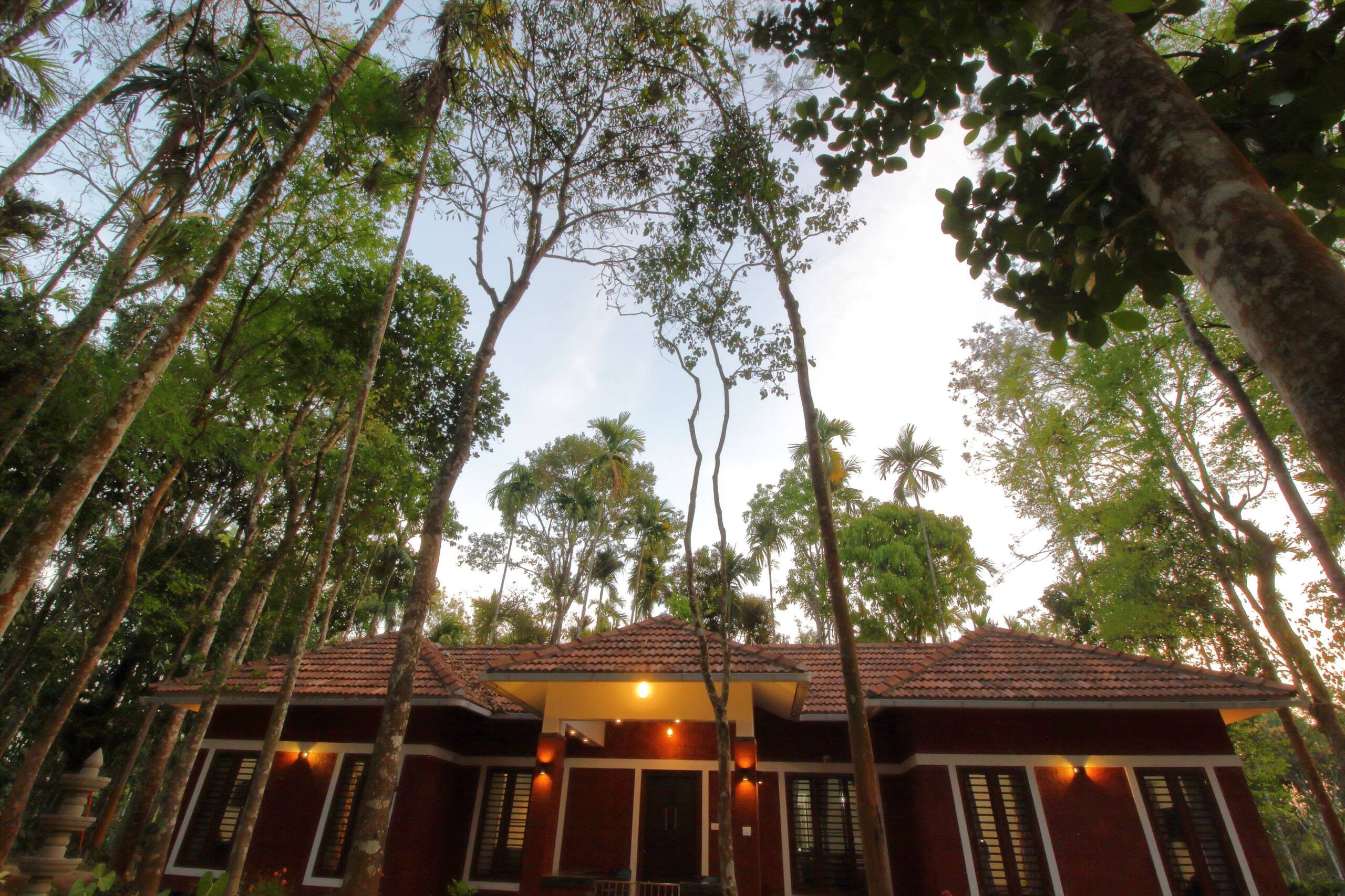 TreeSong Villa 3