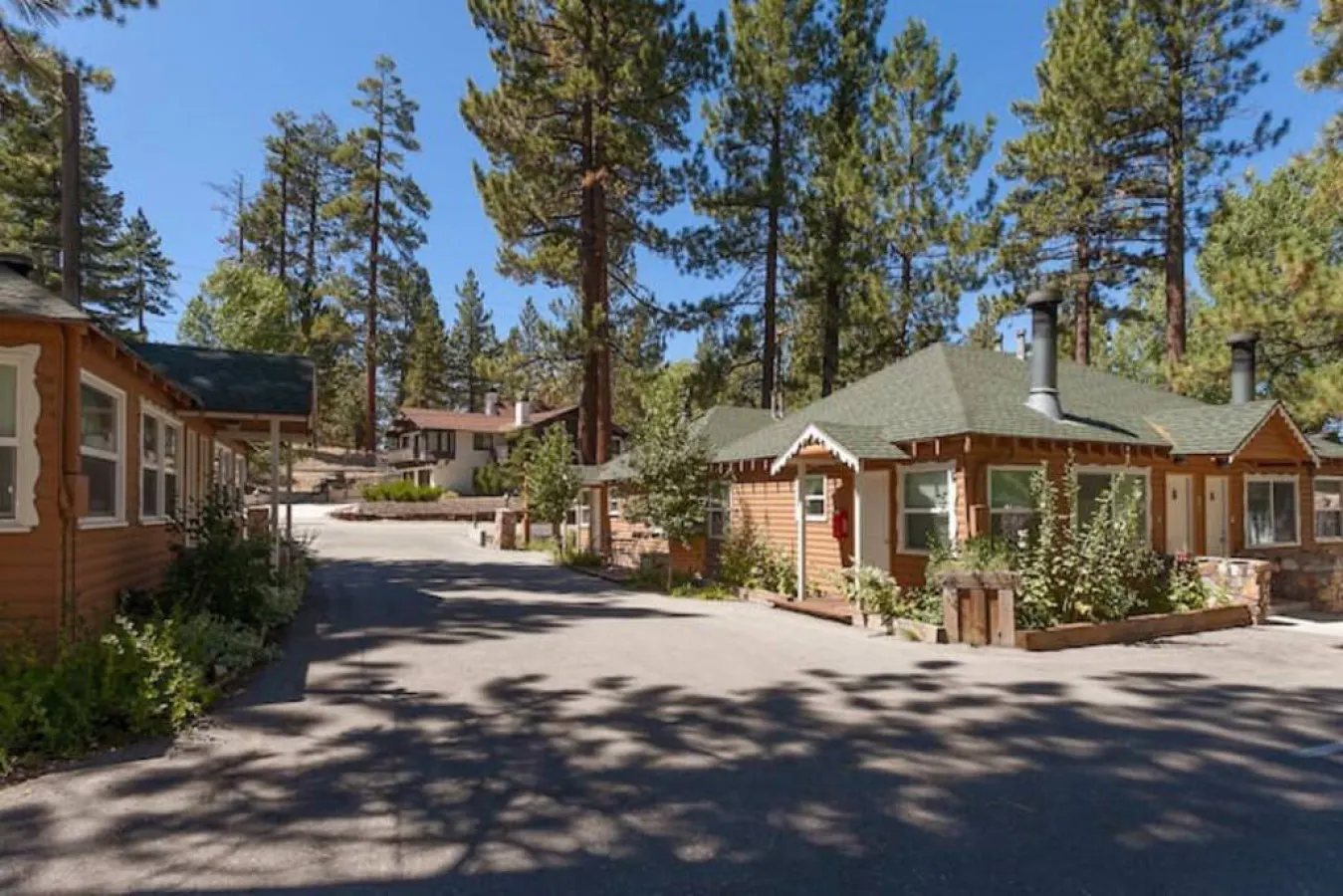 Charming Timber Haven Lodge (1BRM-4guest) Cabin #6 11
