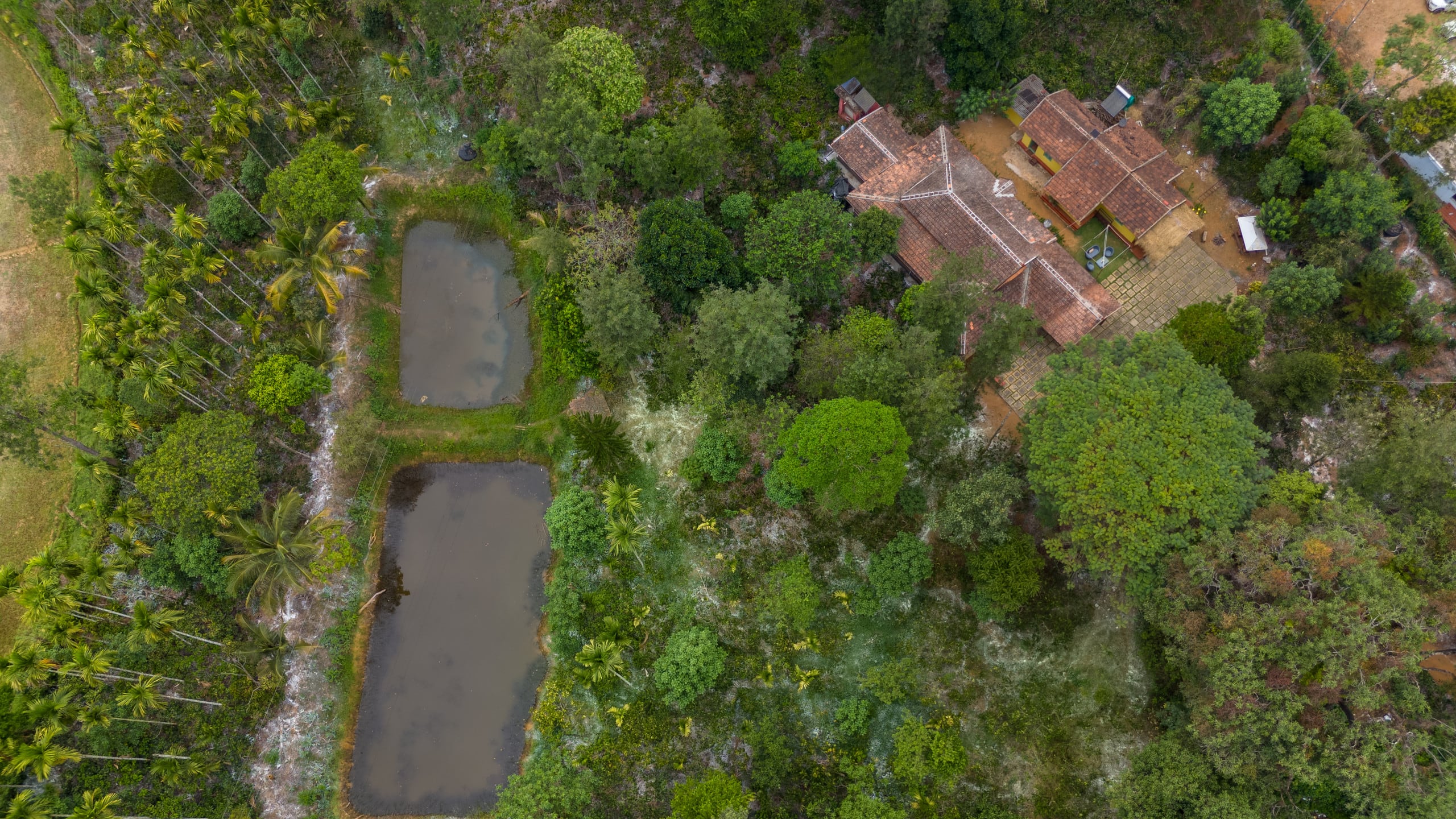 Traditional 2BHK Villa @Coorg- Sliceinn Somewhere 22