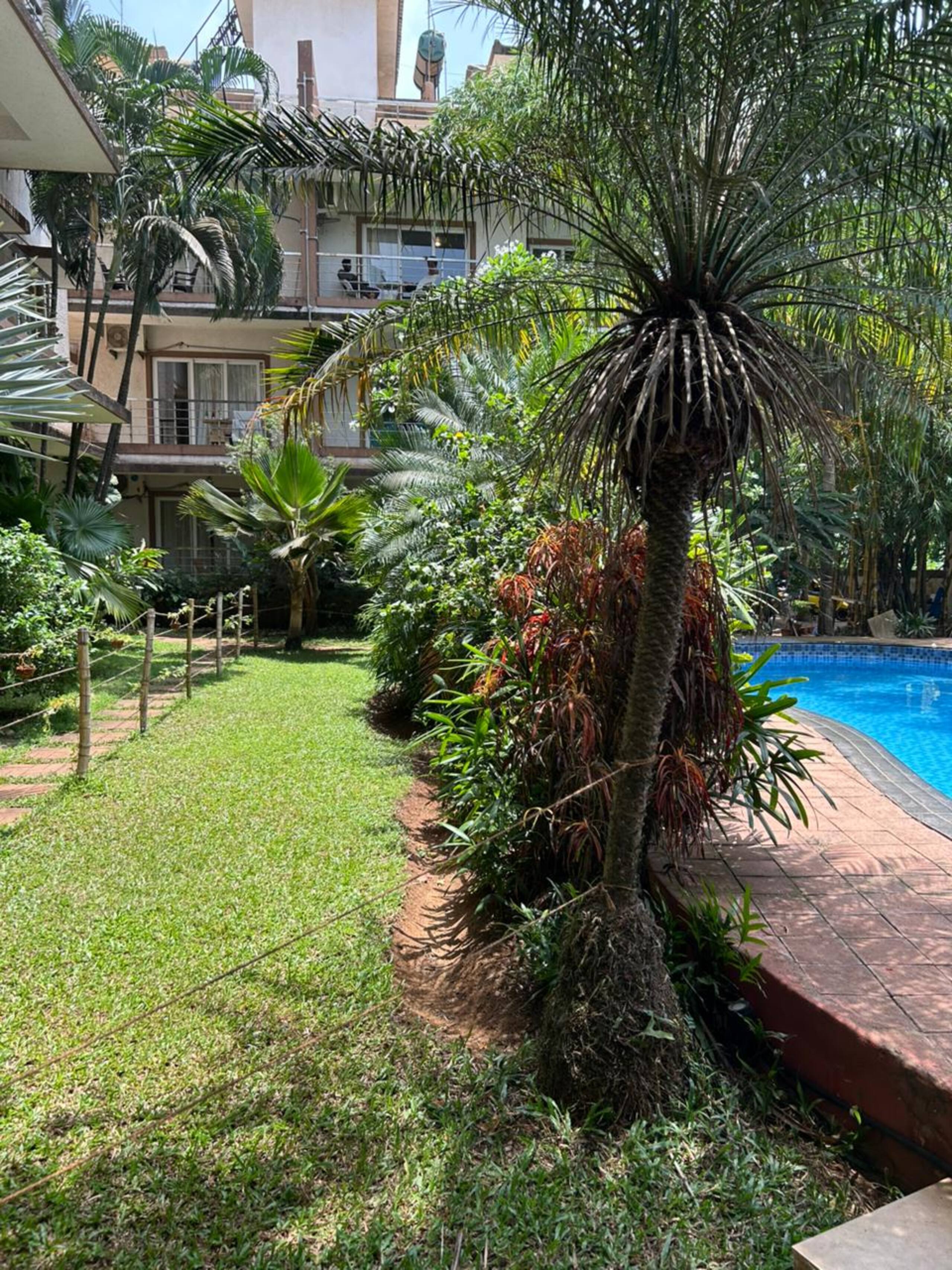Ivy 2BHK B1 -Pool/5 mins from Tito's/Baga Beach 12