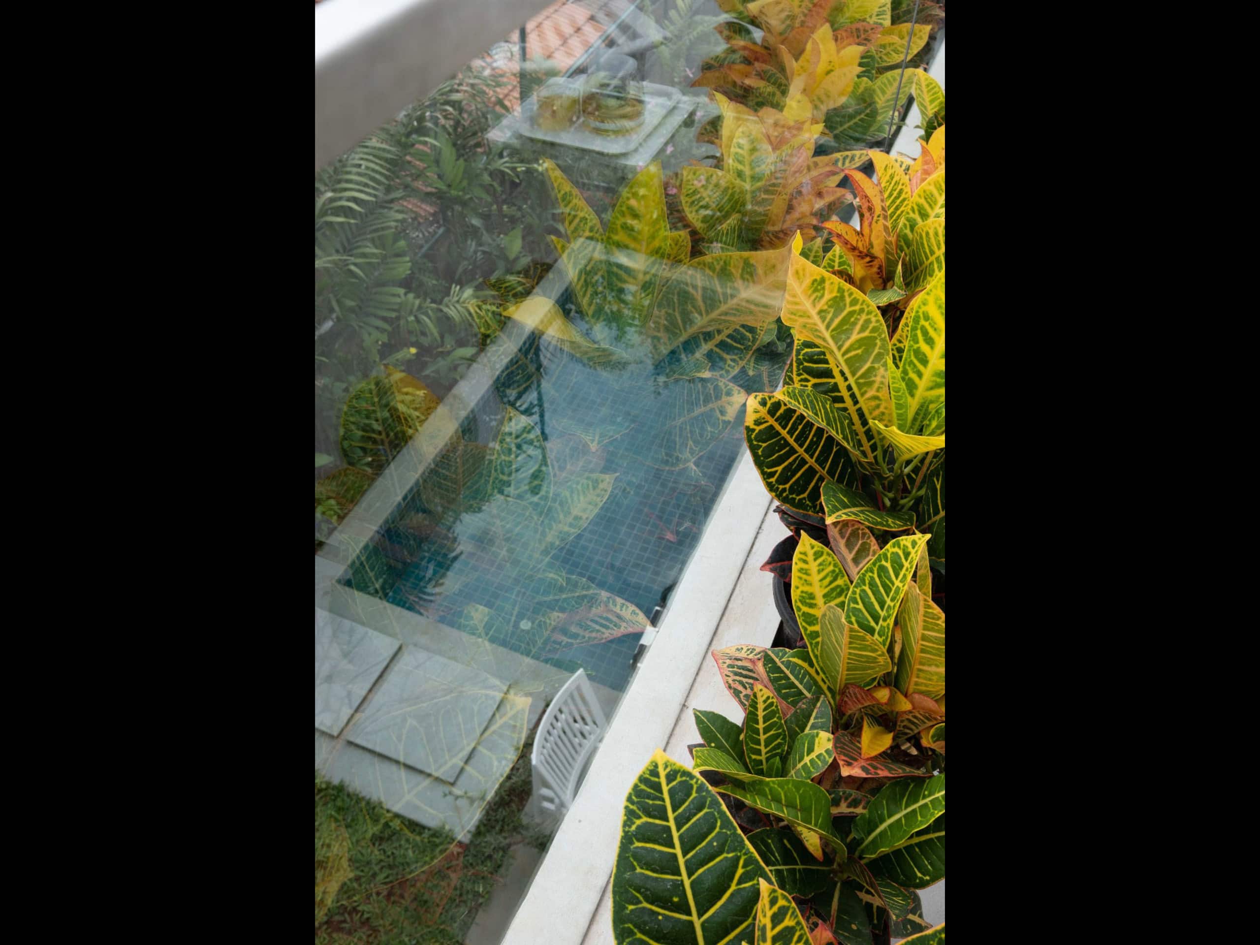 Villa Encanto 2BHK Private Pool Anjuna 25