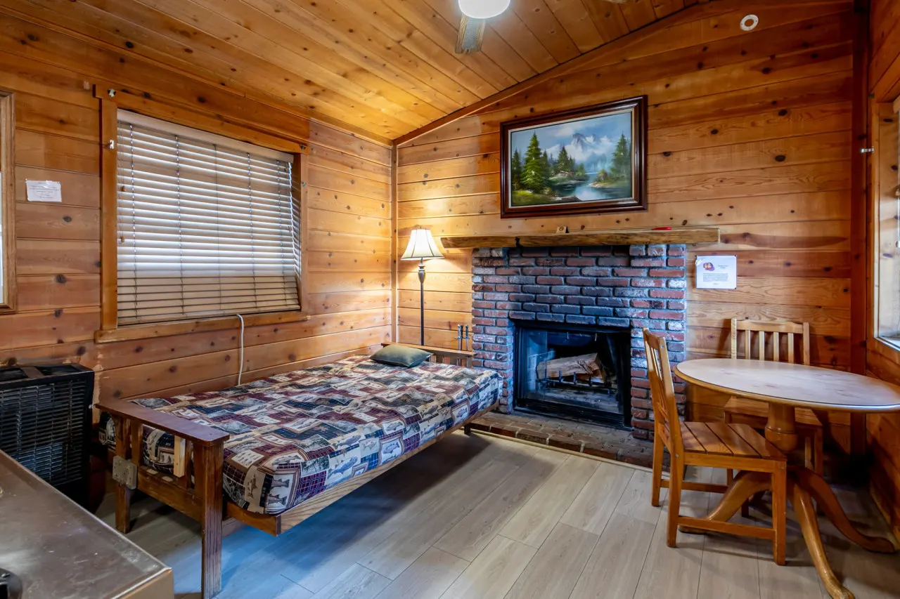 Rustic Telluride - Cozy Hollow Lodge #8 4