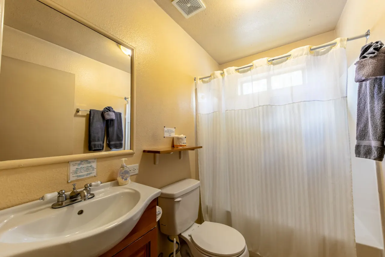 Rustic Telluride - Cozy Hollow Lodge #8 8