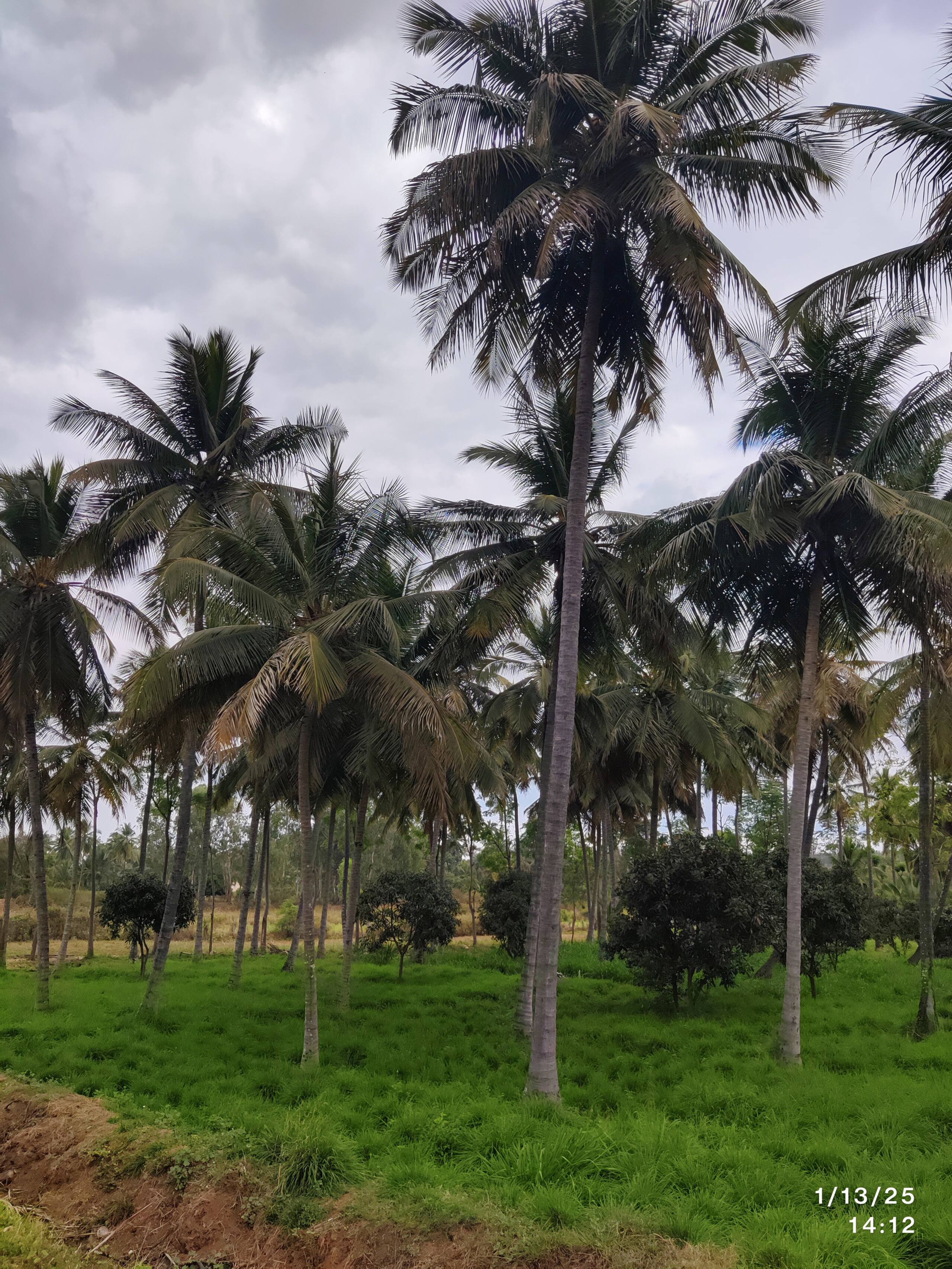 Jenugudu Farm Stay 9