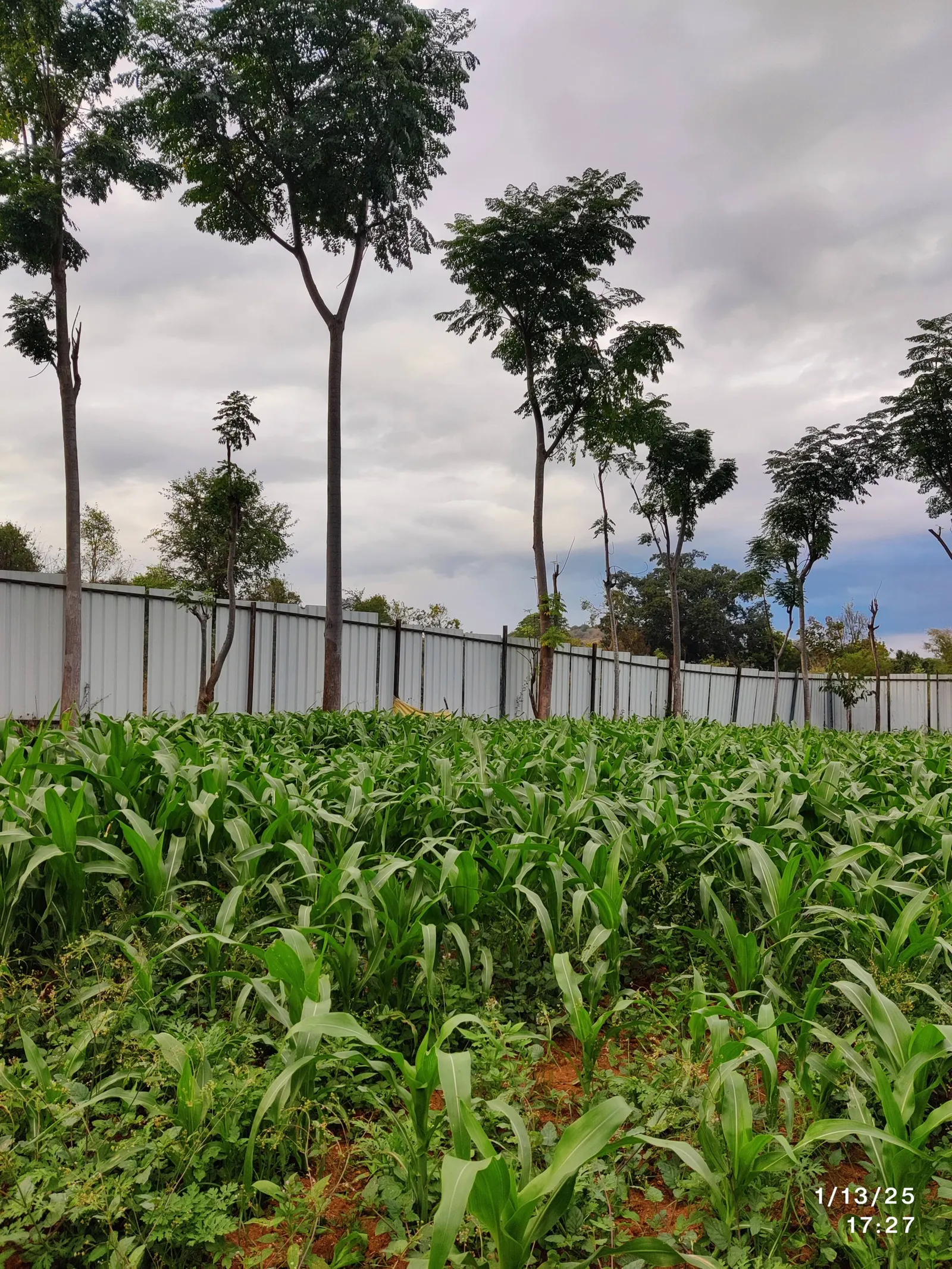 Jenugudu Farm Stay 13