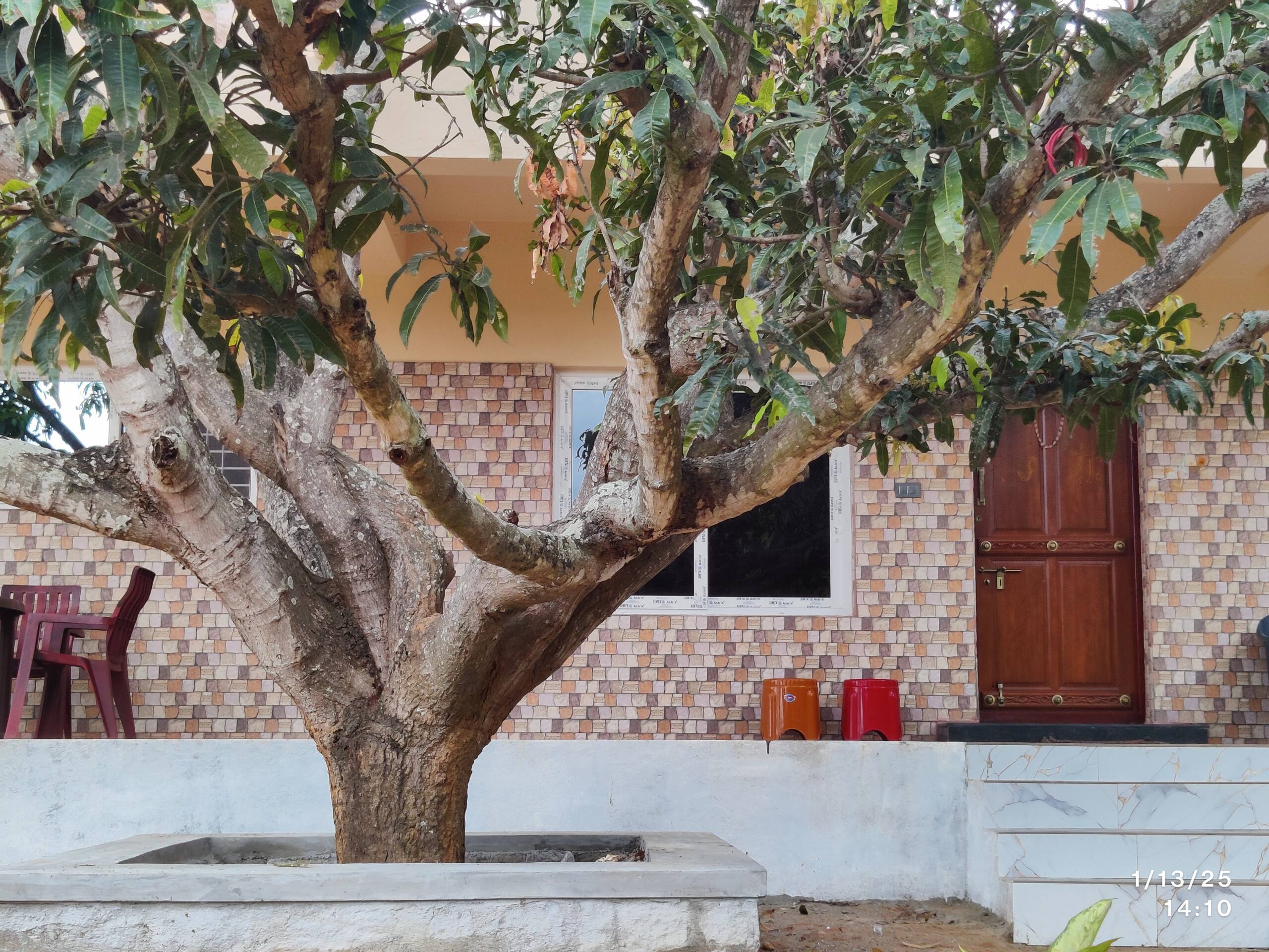 Jenugudu Farm Stay 1