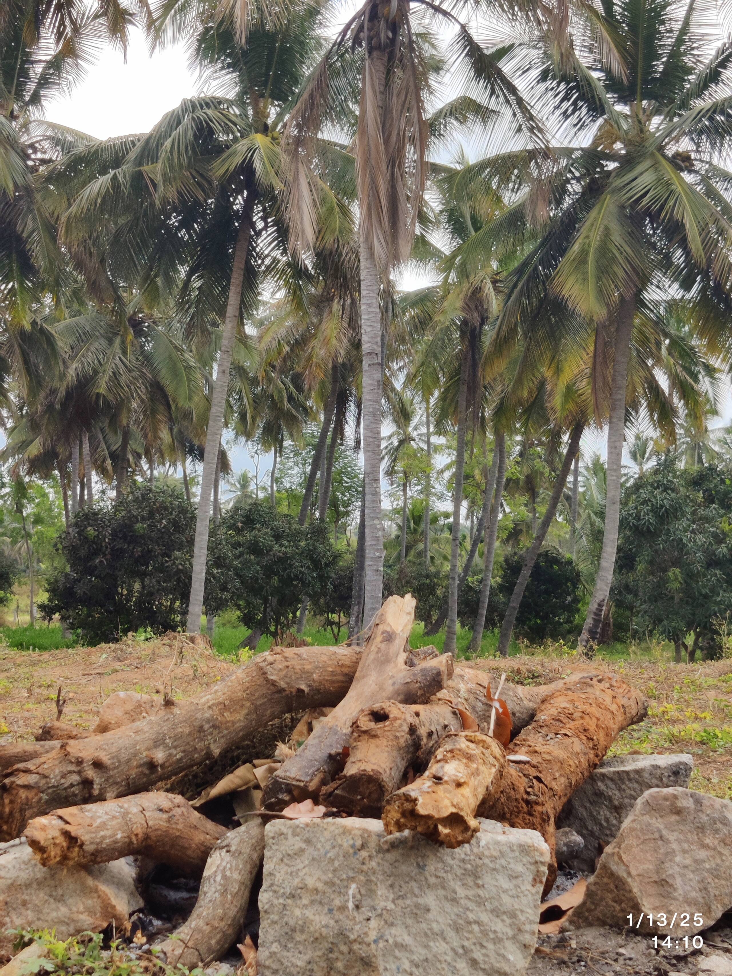 Jenugudu Farm Stay 7