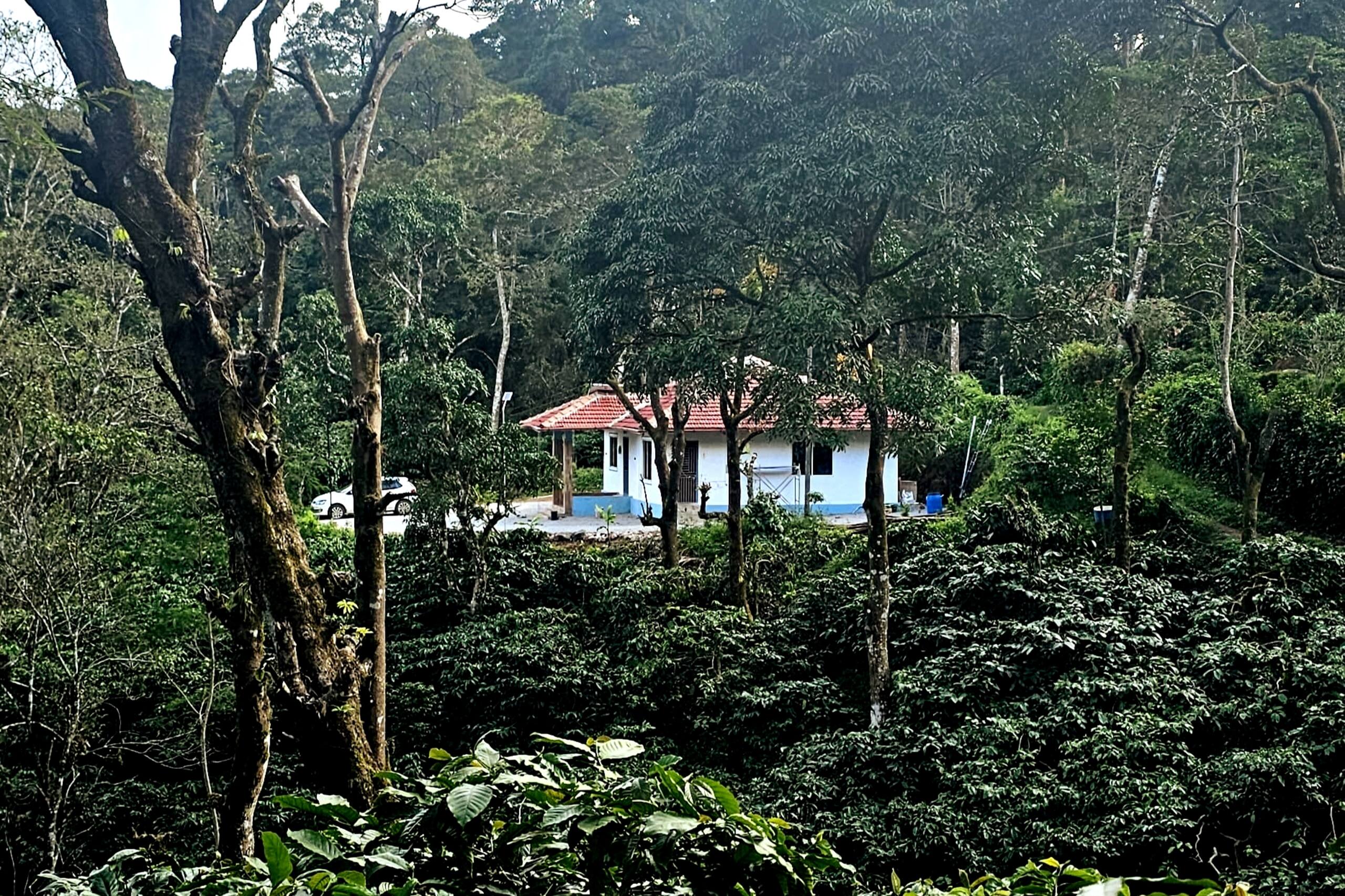 Vintara Homestay