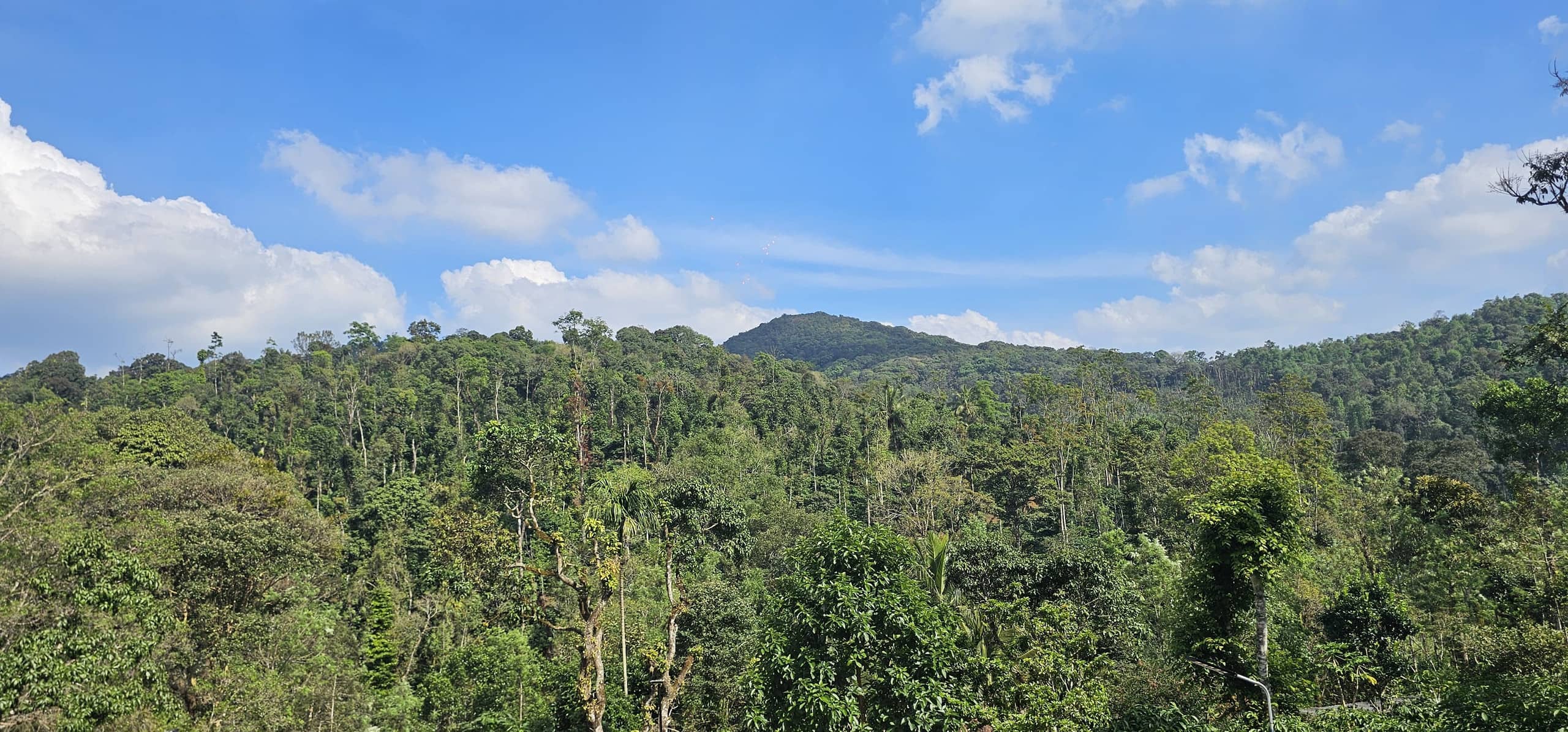 Vintara Homestay 12