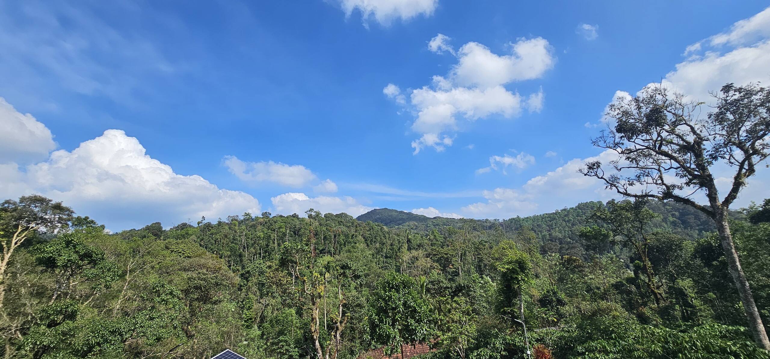 Vintara Homestay 4