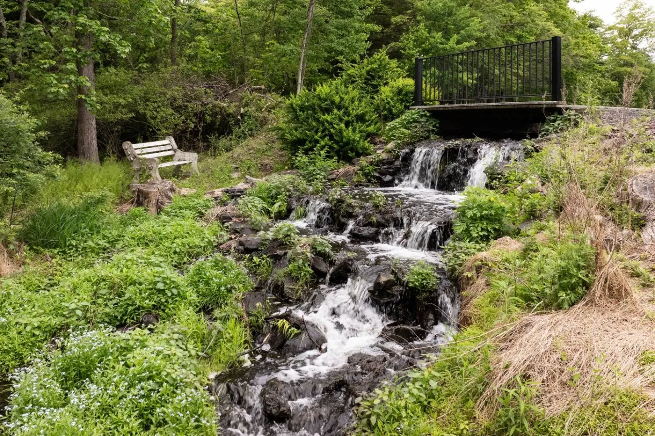 Leisure Lake Resort-Hot Tub, Paddle boats, Fishing 8