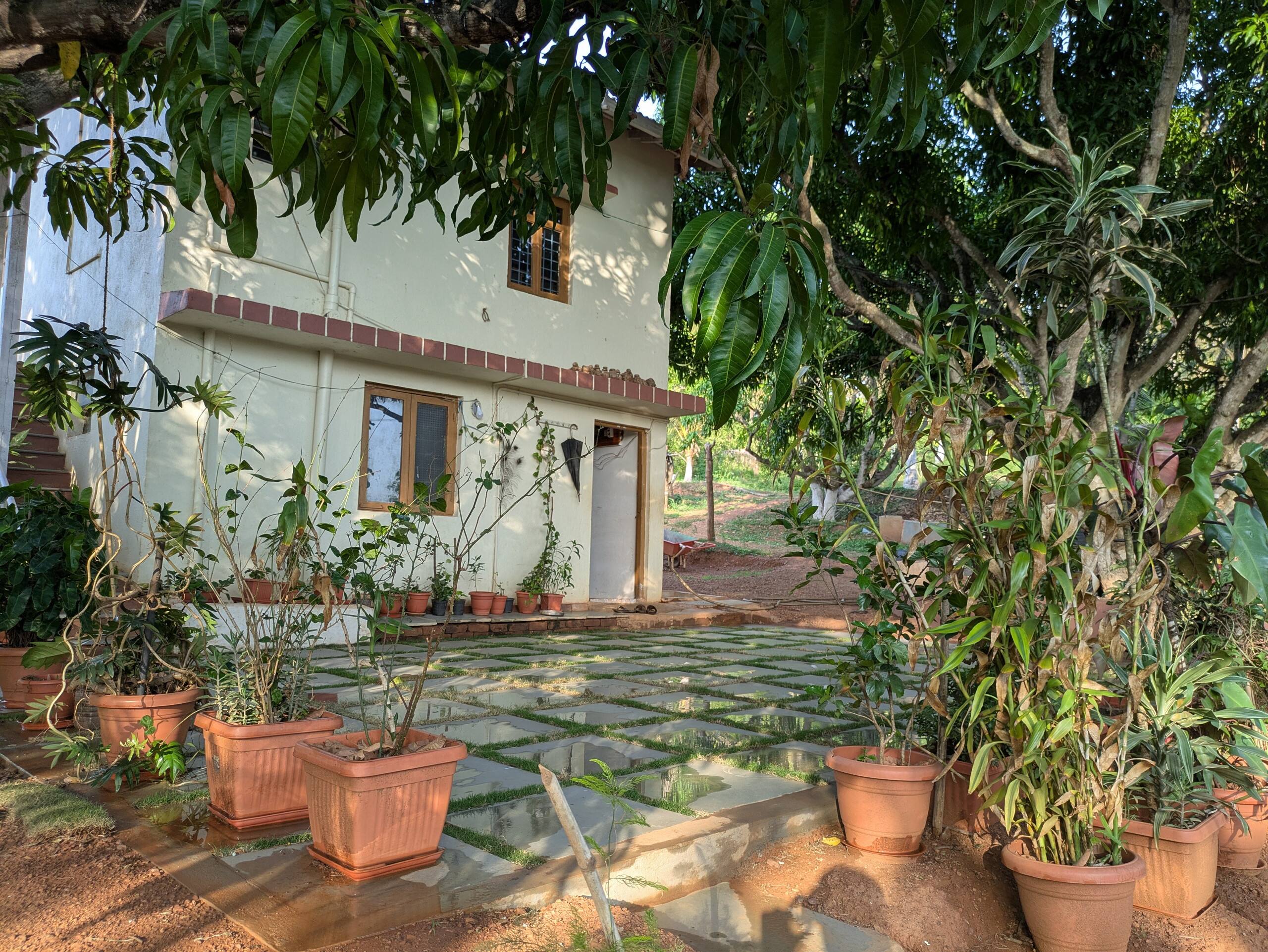 Vruksha Vatikaa 14