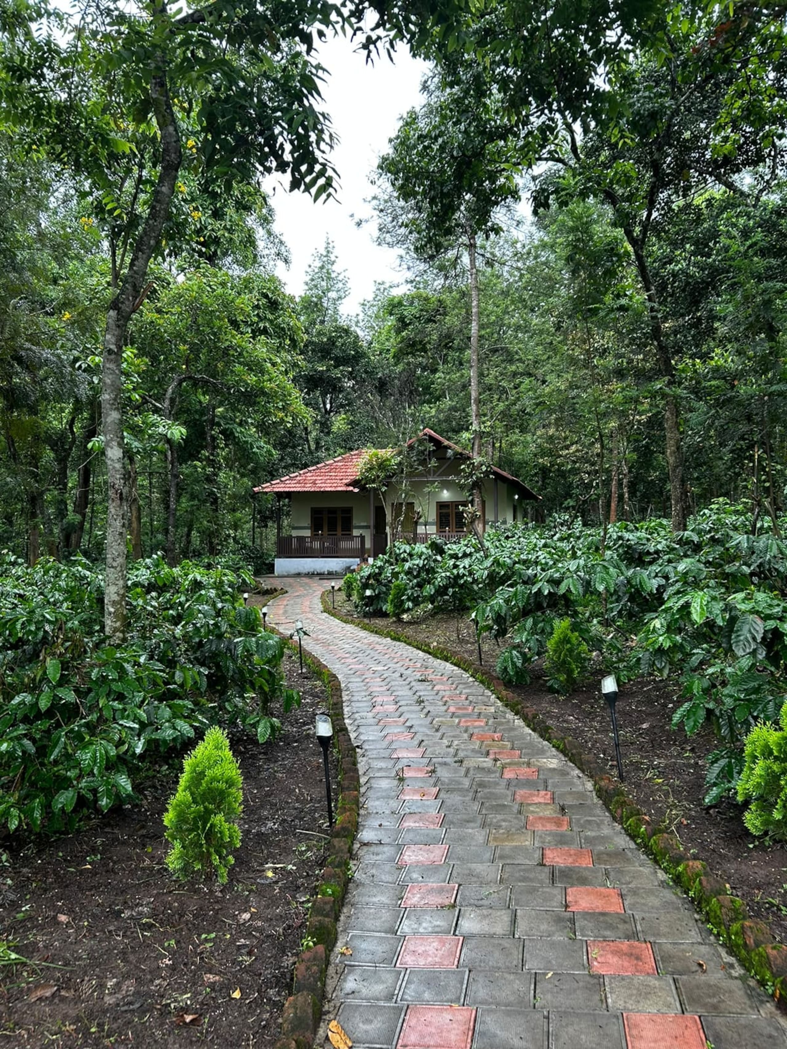Whistling Farms 5