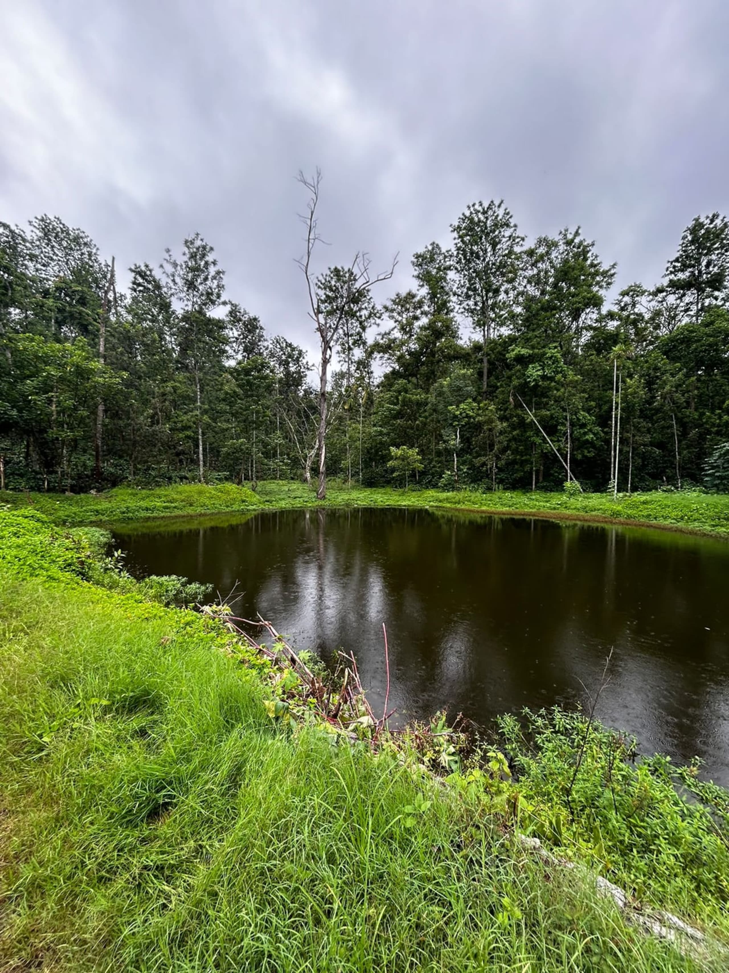 Whistling Farms 22