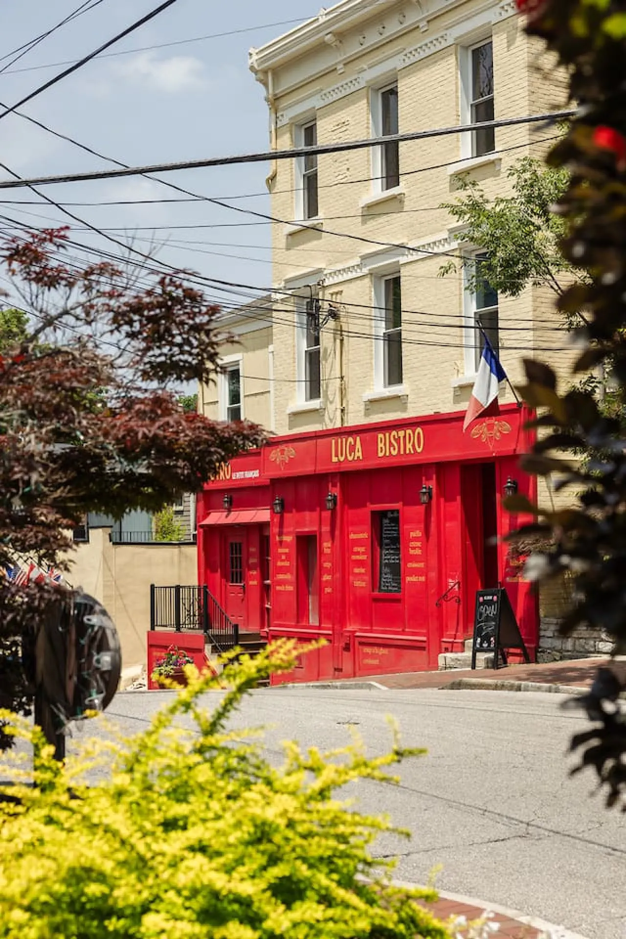 Charming Mt. Adams 1BR in Prime Location! 18