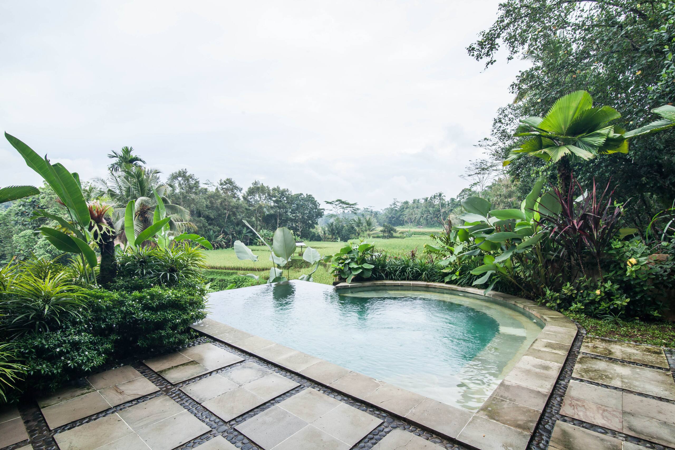 7-Bedroom Villa with Infinity Pool & Jungle Views 6