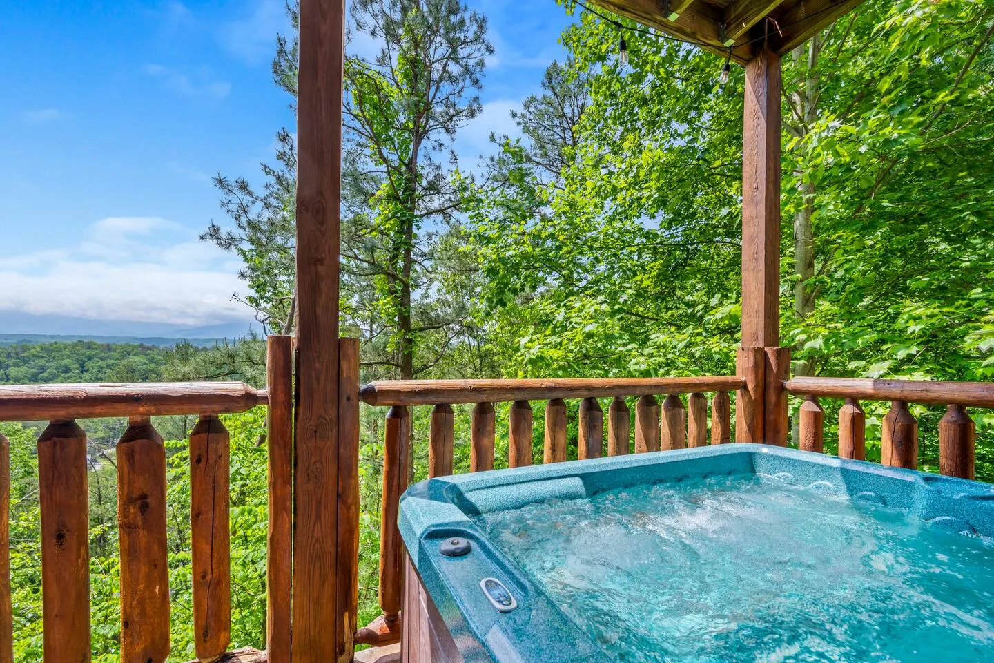 Beary Nice View, Smoky Mountains, Tennessee 14
