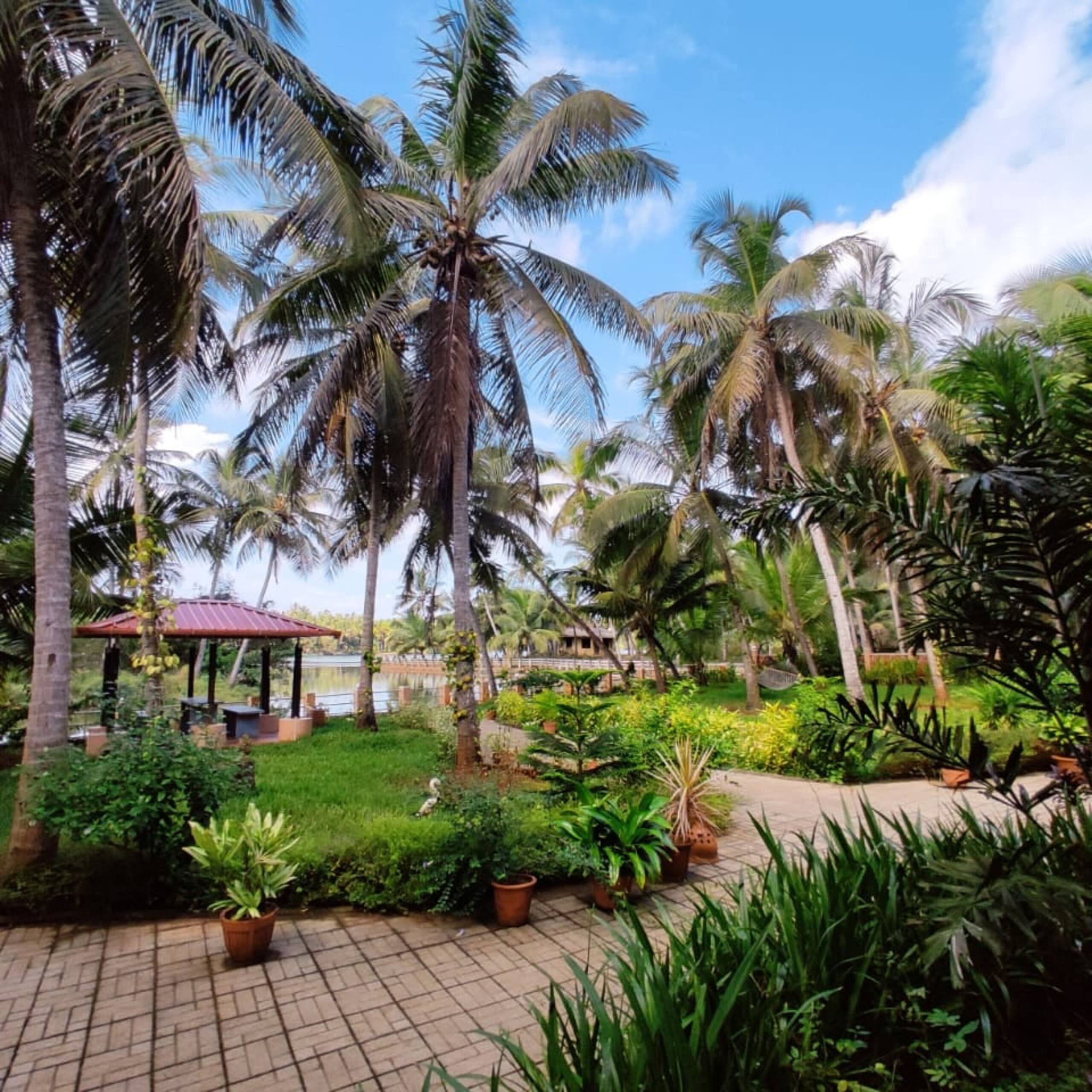 Cozinn B214 – Studio room | Family Stay for 6 5