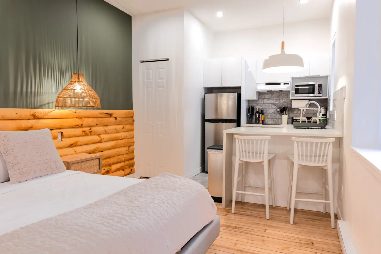 #2 - Studio/Plateau/St-Denis/SelfCheck-In/AC/TV 6