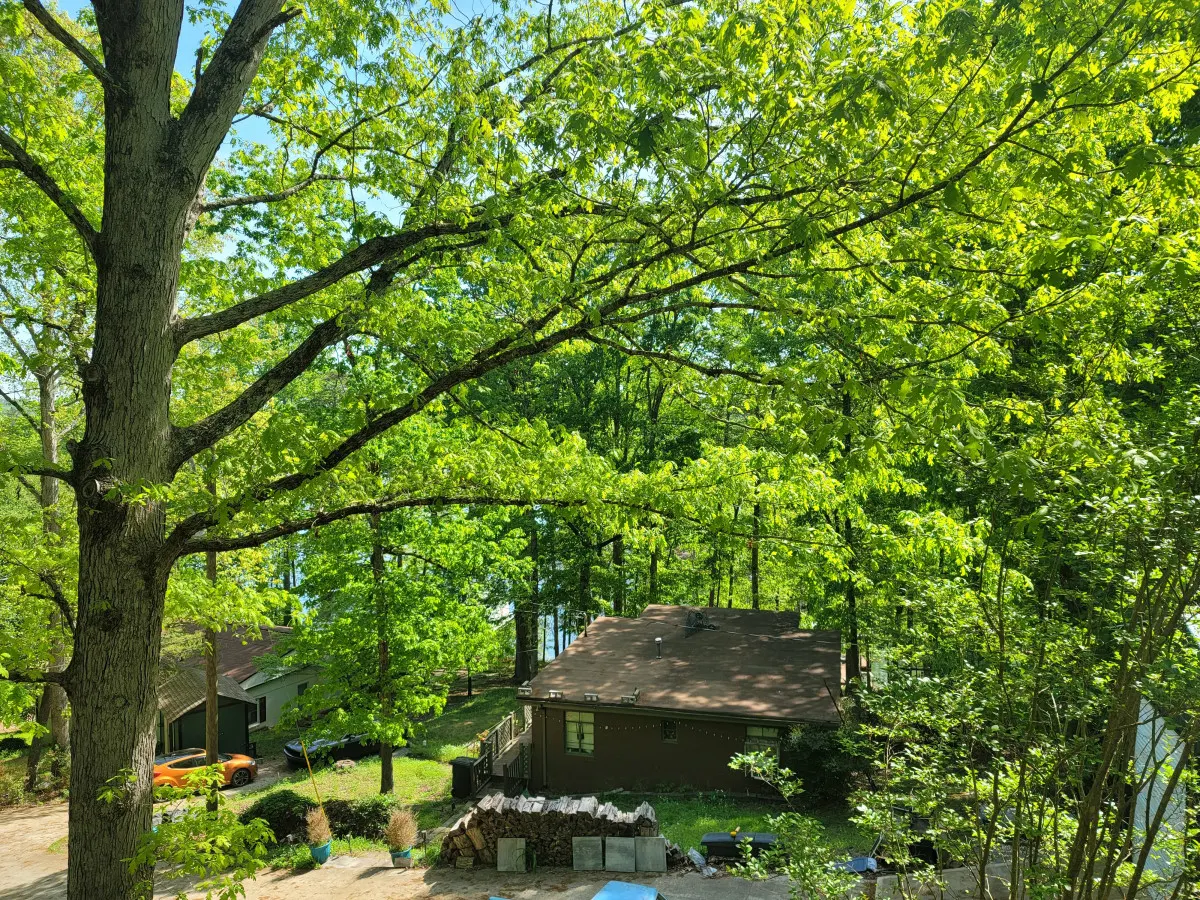 Serene Lake Lanier Retreat - Inquire about mid to long term Rentals - Perfect for Staycations and Family Getaways! 7