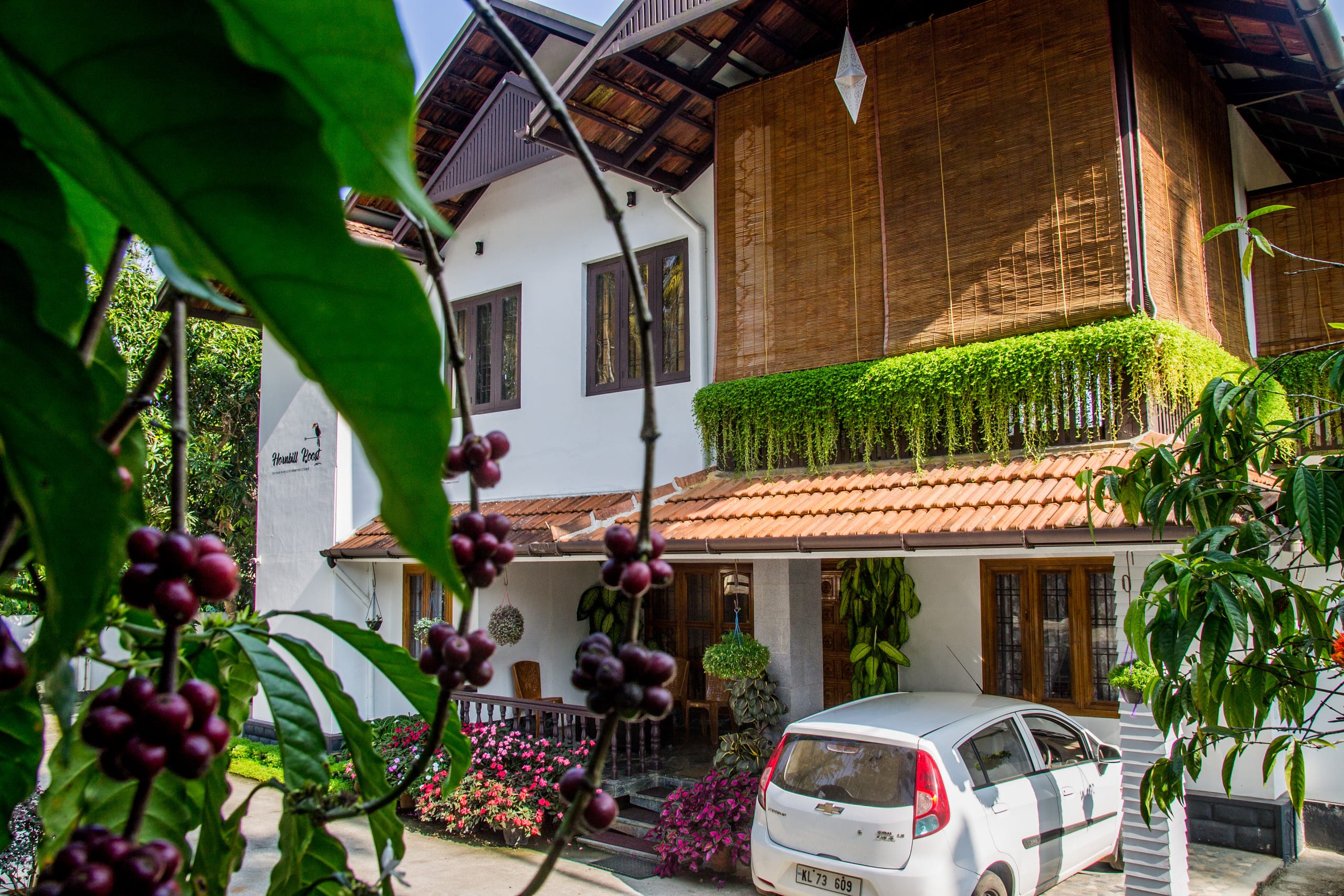 Hornbill Roost 20